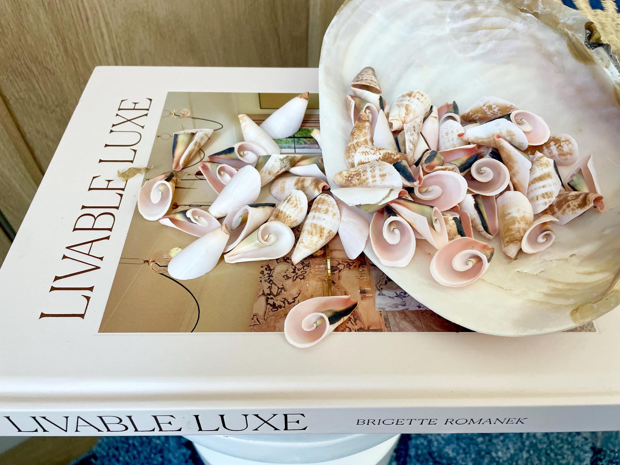 PINK LILY CUT Shells 1.25"-1.75" Long *You Choose Quantity* Slices Craft Seashells - Image 6