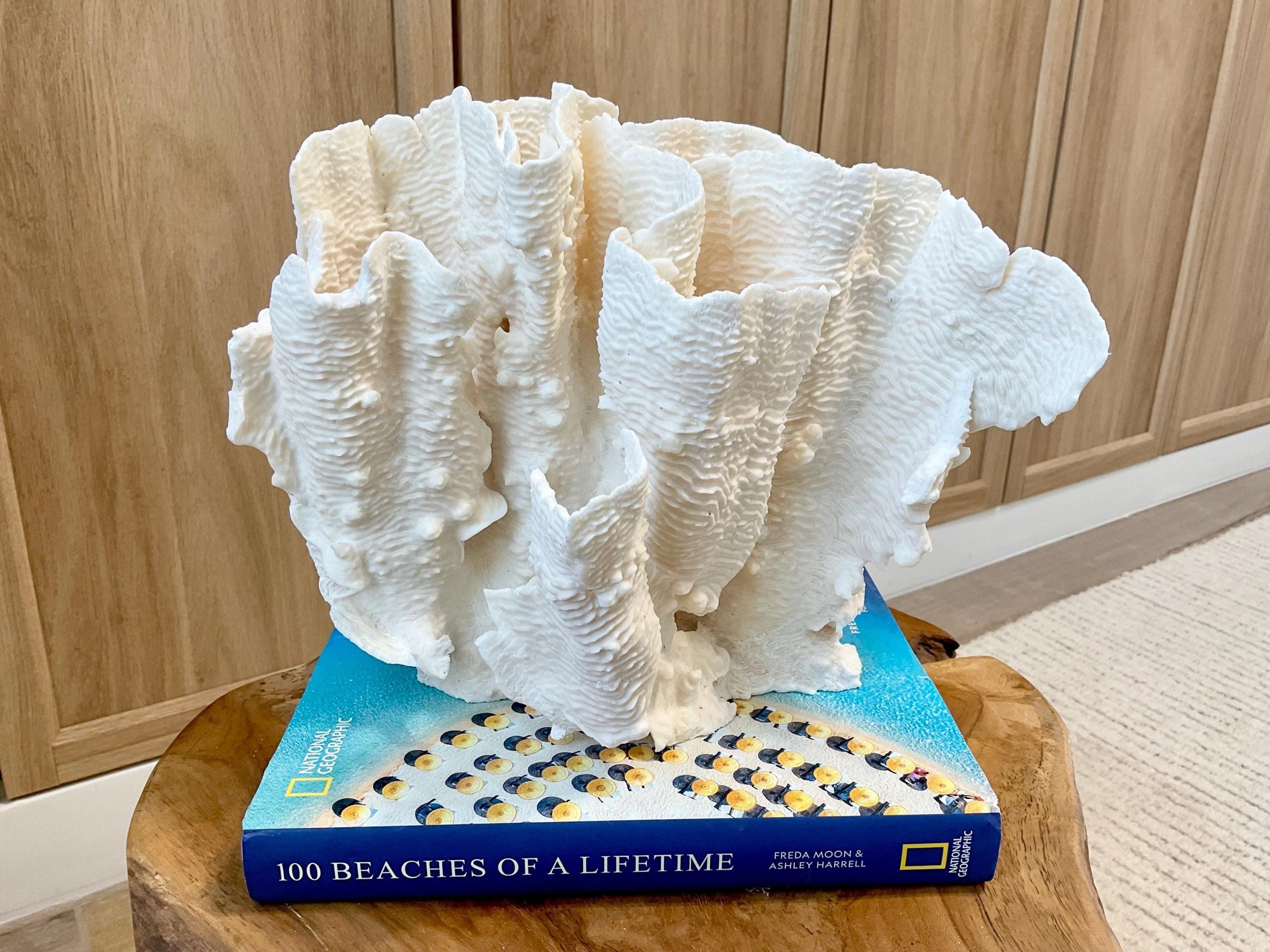Natural Rugosa Coral Fossil Specimen: 10"x9.5"x7.5" Coastal Beach Home Décor - Image 9