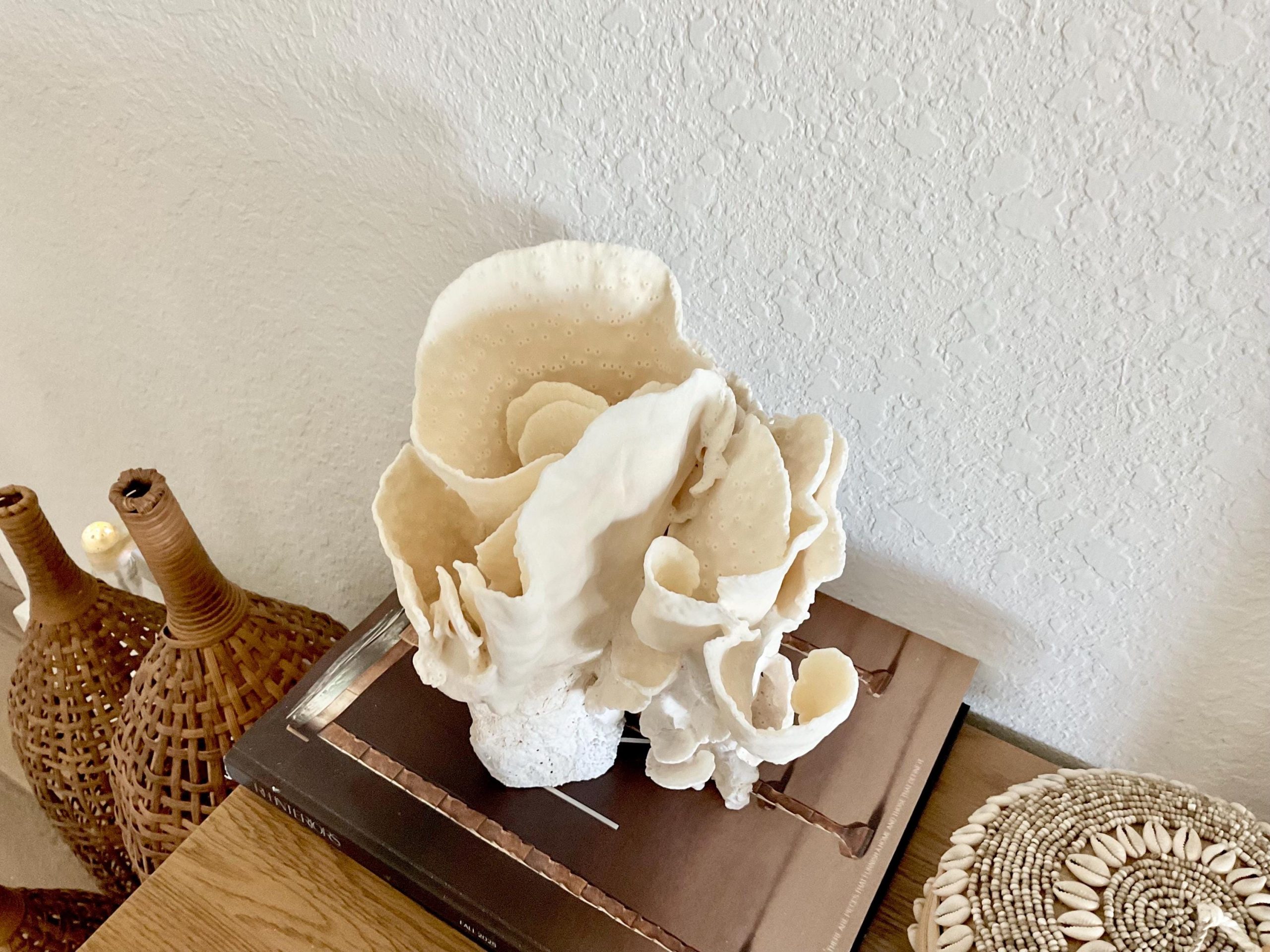 Natural Spiral Cup Coral Fossil Specimen: 9x7.5x8" Beach House Coastal Décor - Image 3