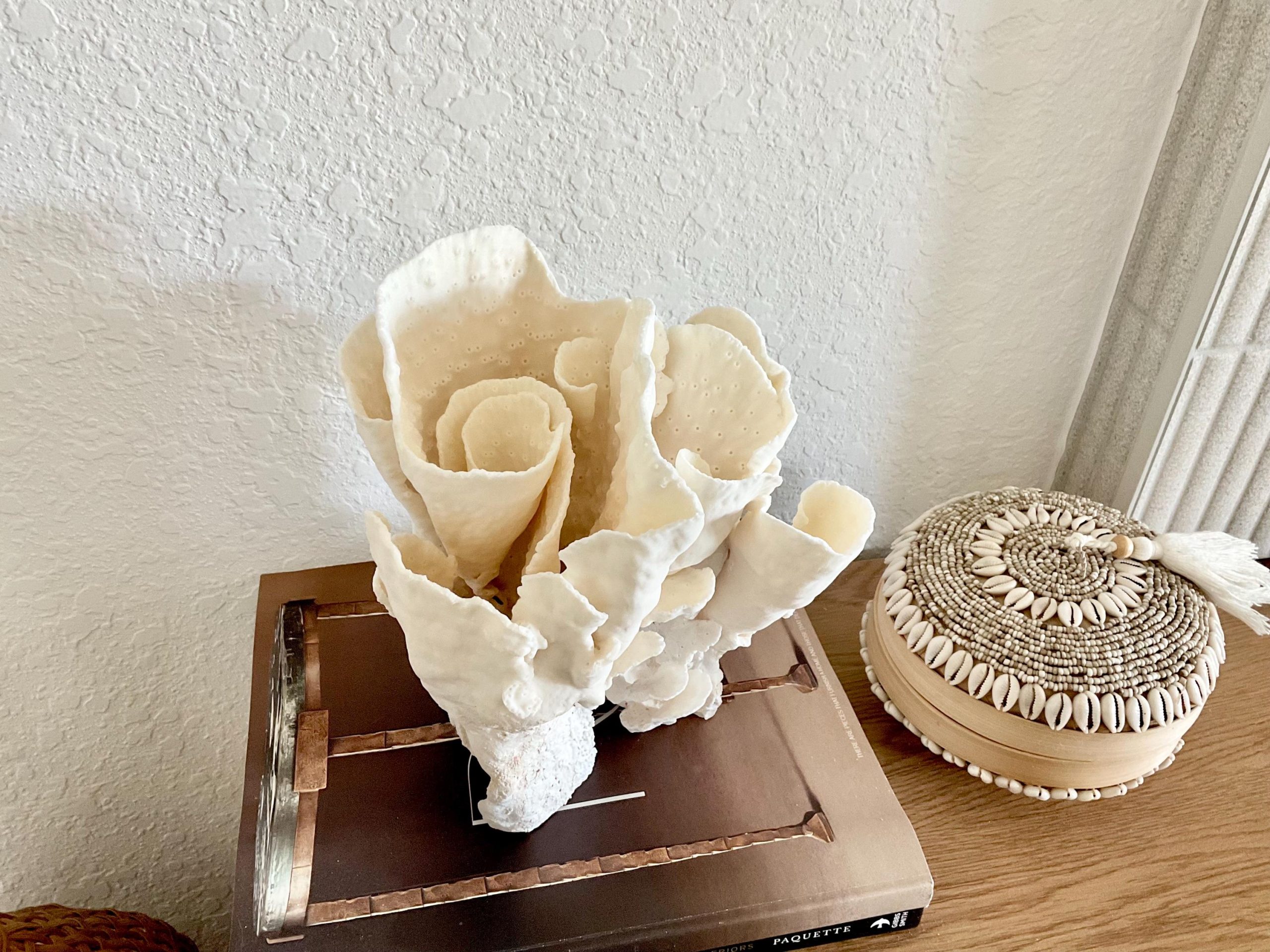 Natural Spiral Cup Coral Fossil Specimen: 9x7.5x8" Beach House Coastal Décor - Image 4