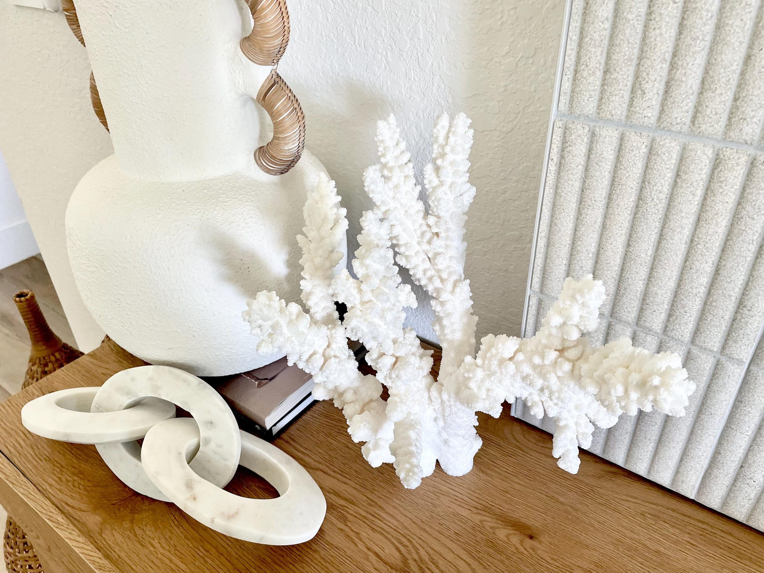 Branch Coral Fossil Specimen: 13" x 12"x 8" Coastal Beach House Décor - Image 4