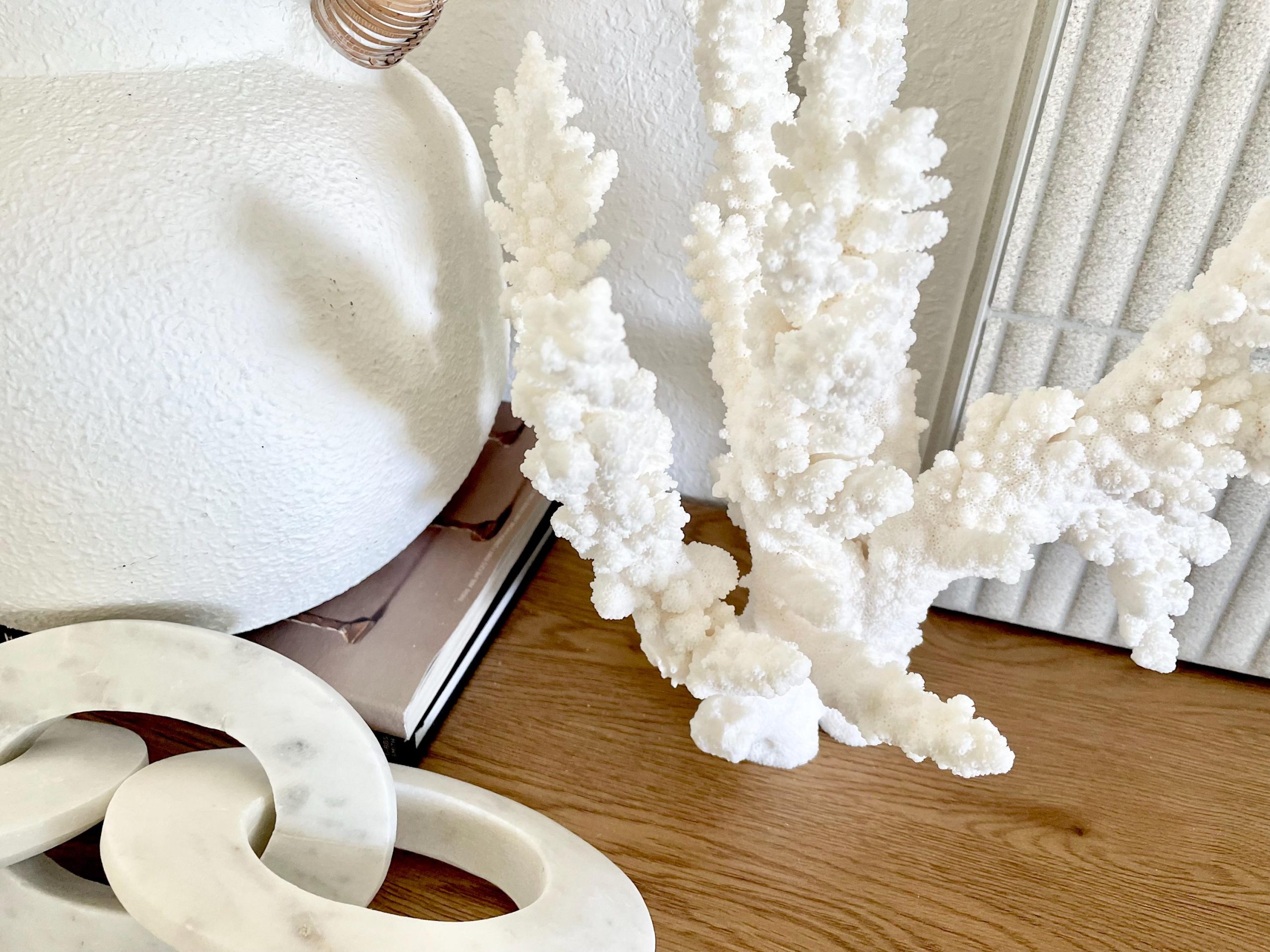 Branch Coral Fossil Specimen: 13" x 12"x 8" Coastal Beach House Décor - Image 5