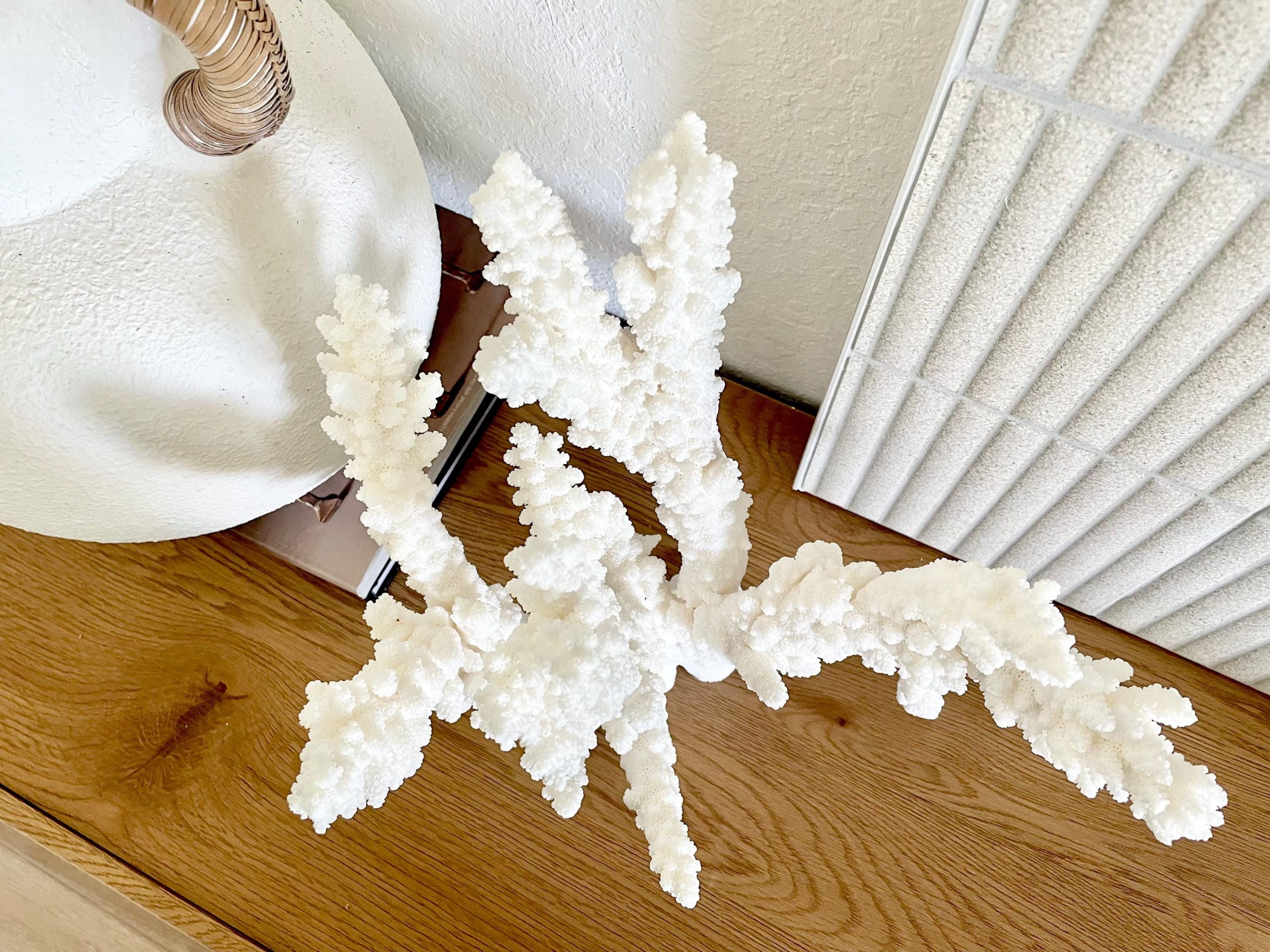 Branch Coral Fossil Specimen: 13" x 12"x 8" Coastal Beach House Décor - Image 9