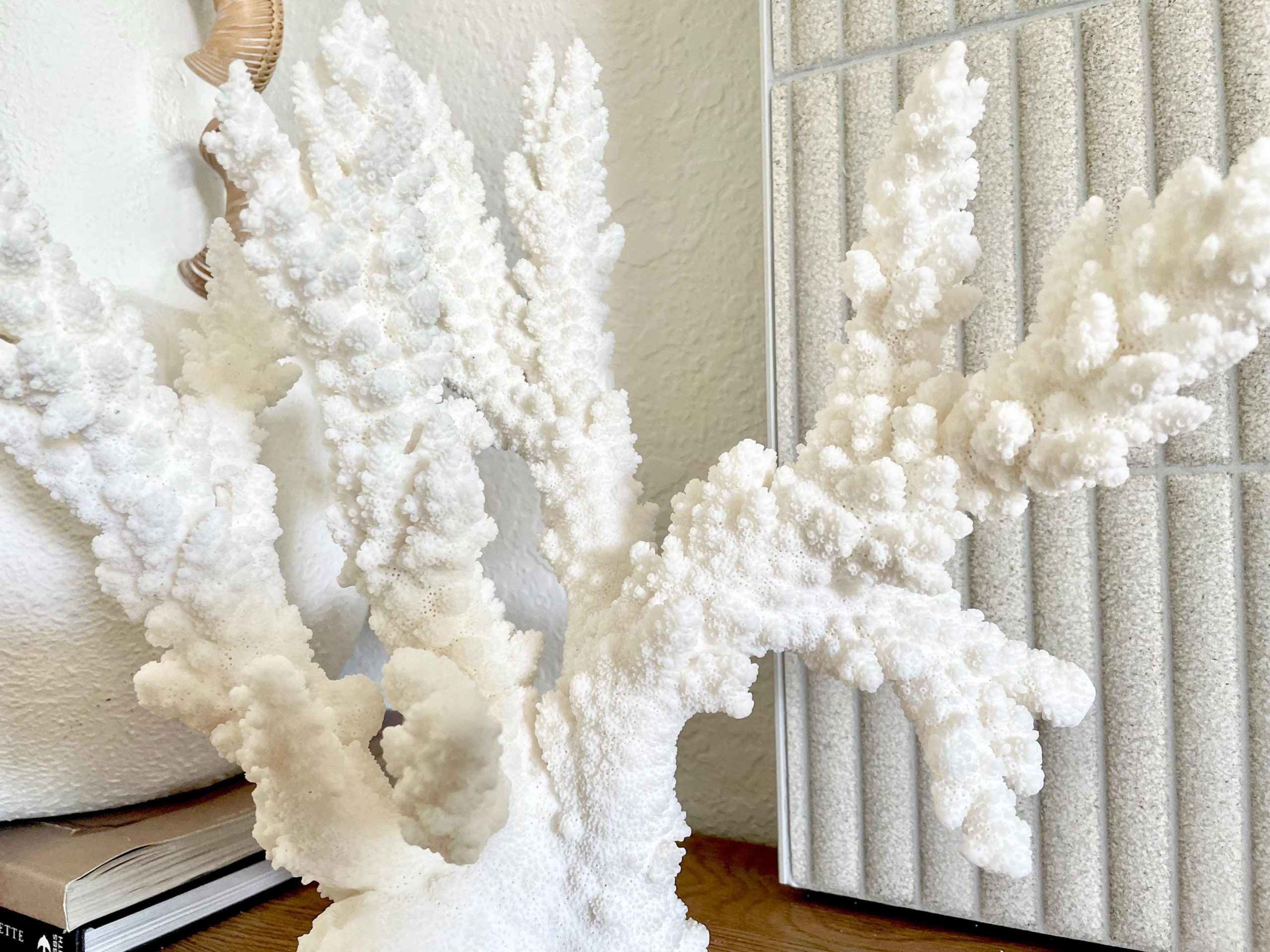 Branch Coral Fossil Specimen: 13" x 12"x 8" Coastal Beach House Décor - Image 12