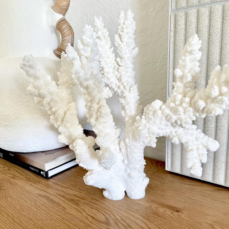 Branch Coral Fossil Specimen: 13" x 12"x 8" Coastal Beach House Décor