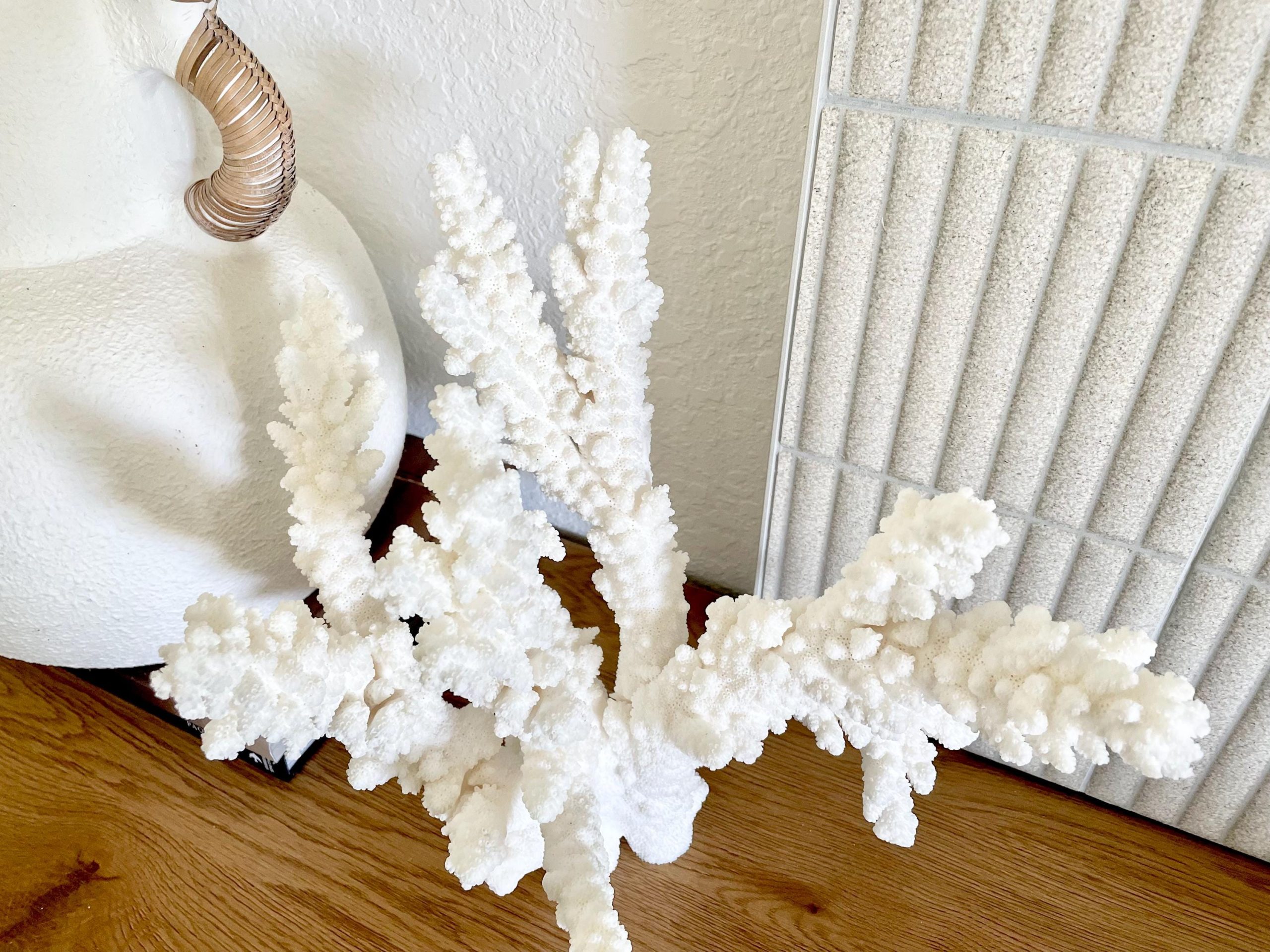 Branch Coral Fossil Specimen: 13" x 12"x 8" Coastal Beach House Décor - Image 3