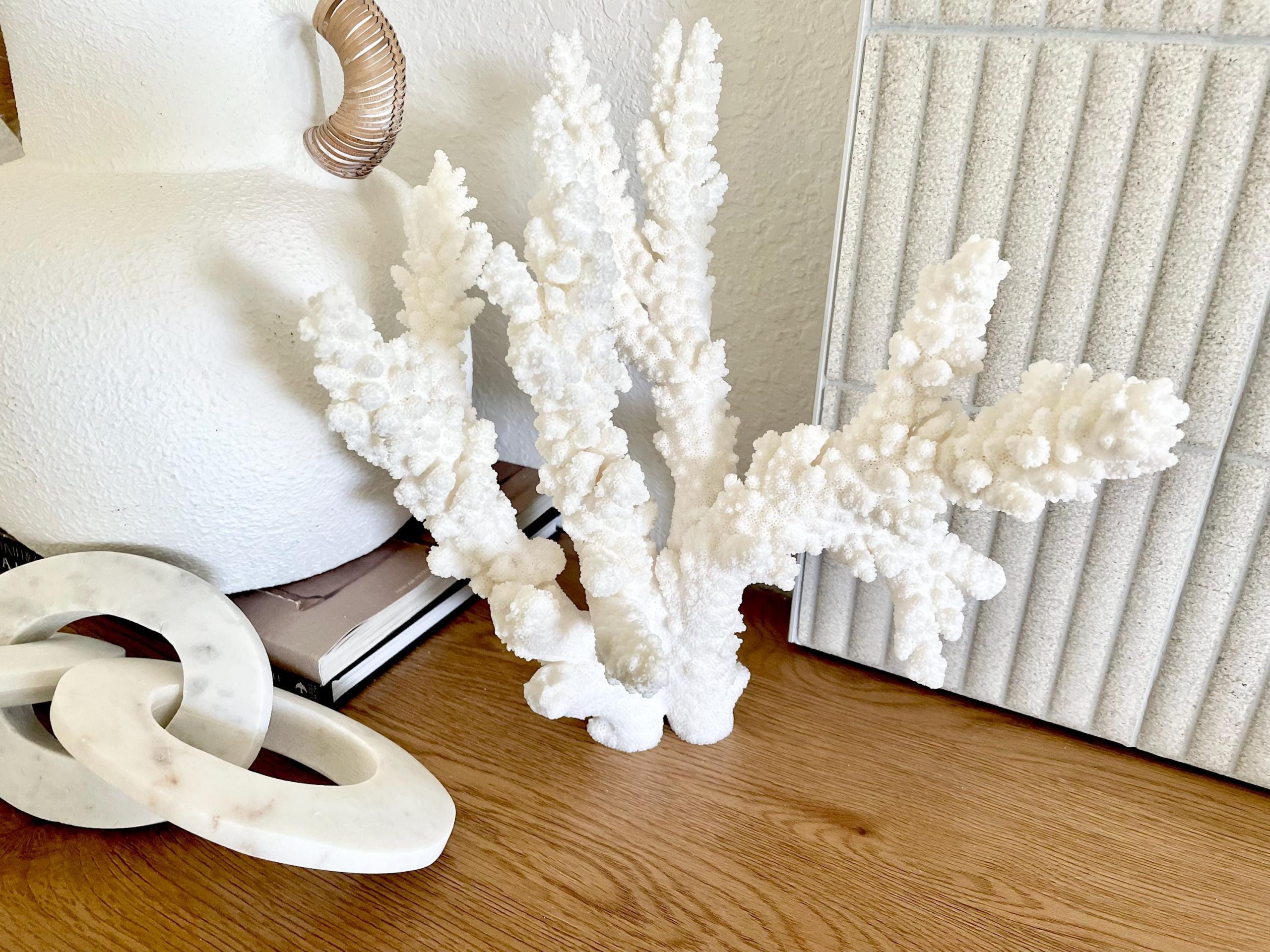 Branch Coral Fossil Specimen: 13" x 12"x 8" Coastal Beach House Décor - Image 8