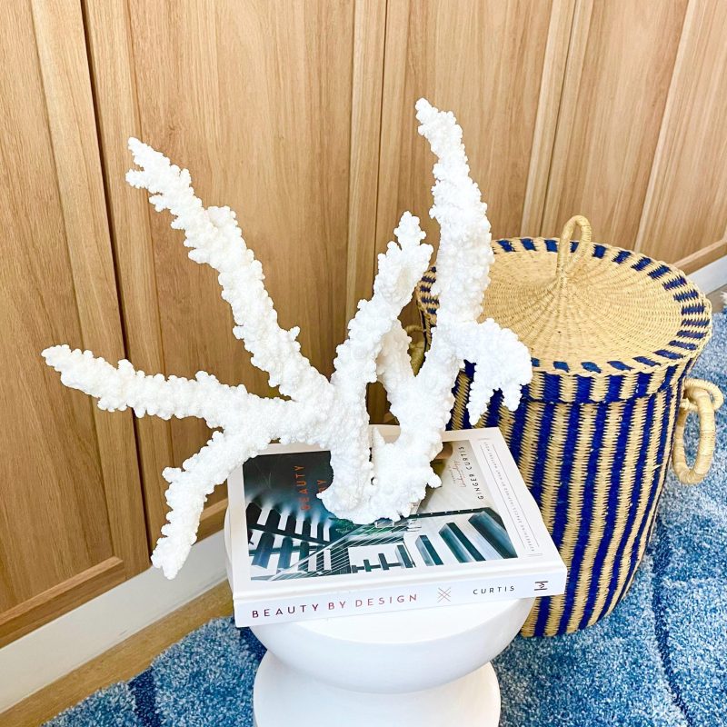 Branch Coral Fossil Specimen: 13.75" x 13"x 9.5" Coastal Beach House Décor