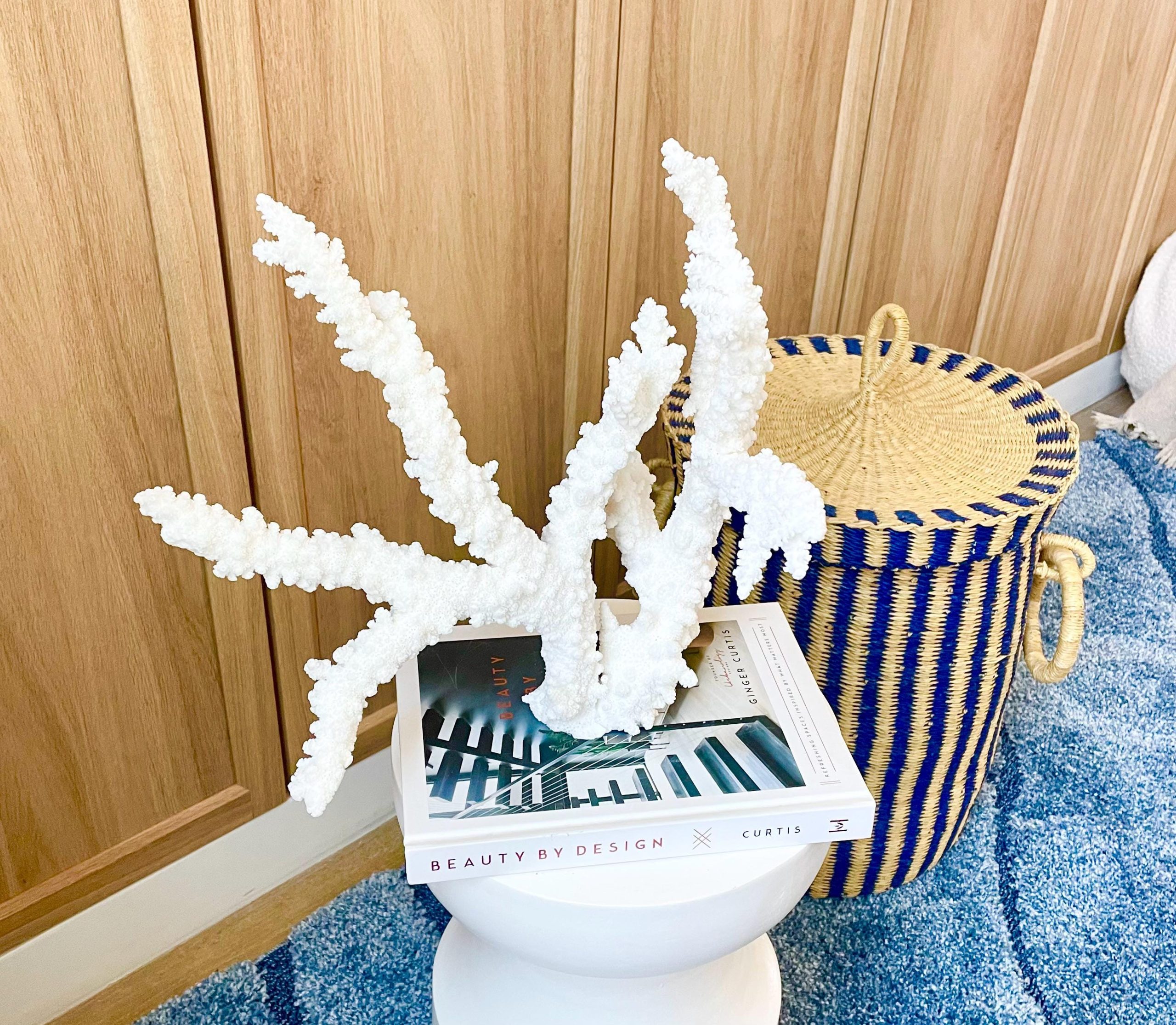 Branch Coral Fossil Specimen: 13.75" x 13"x 9.5" Coastal Beach House Décor