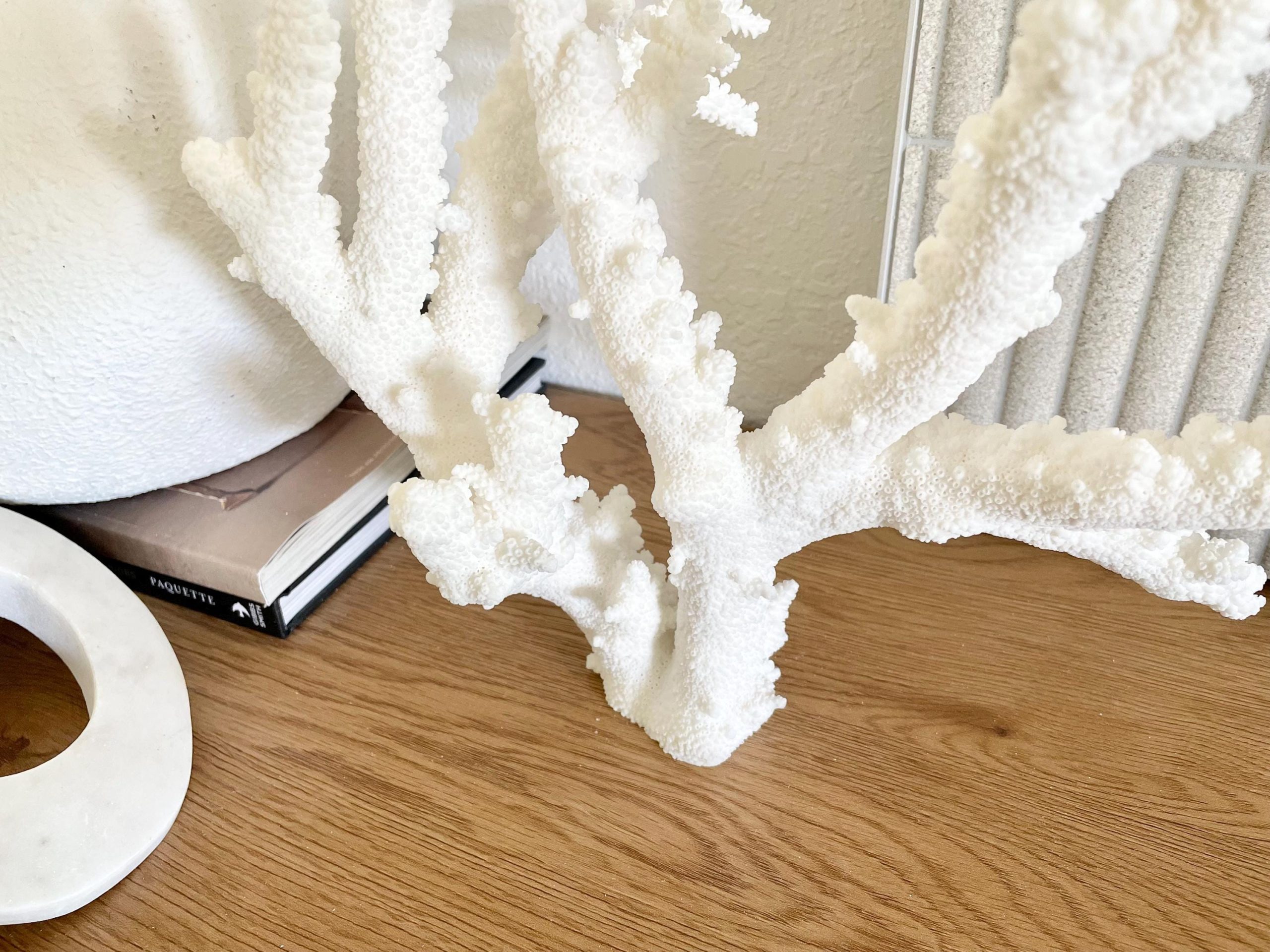 Branch Coral Fossil Specimen: 13.75" x 13"x 9.5" Coastal Beach House Décor - Image 2