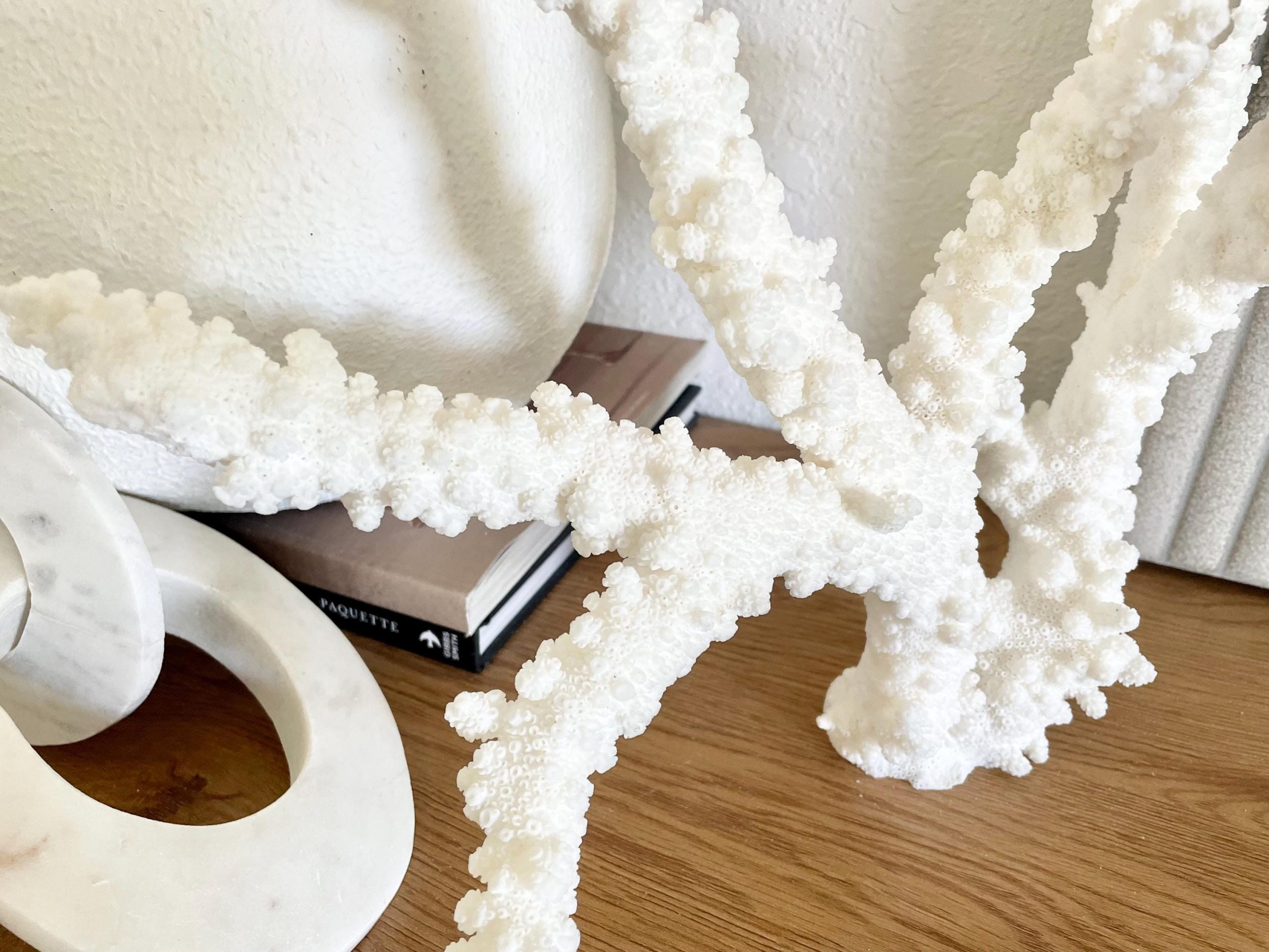 Branch Coral Fossil Specimen: 13.75" x 13"x 9.5" Coastal Beach House Décor - Image 8