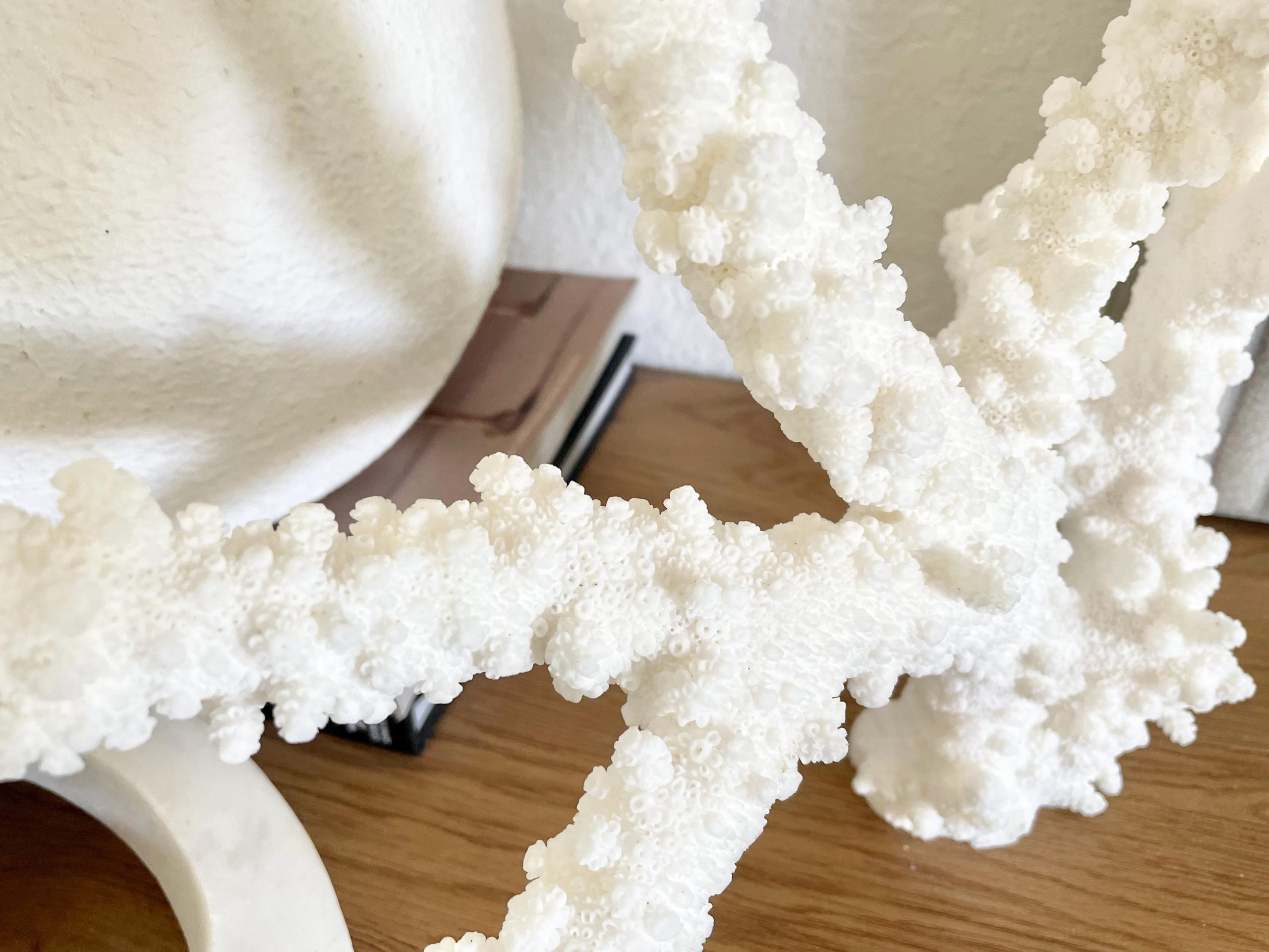 Branch Coral Fossil Specimen: 13.75" x 13"x 9.5" Coastal Beach House Décor - Image 9