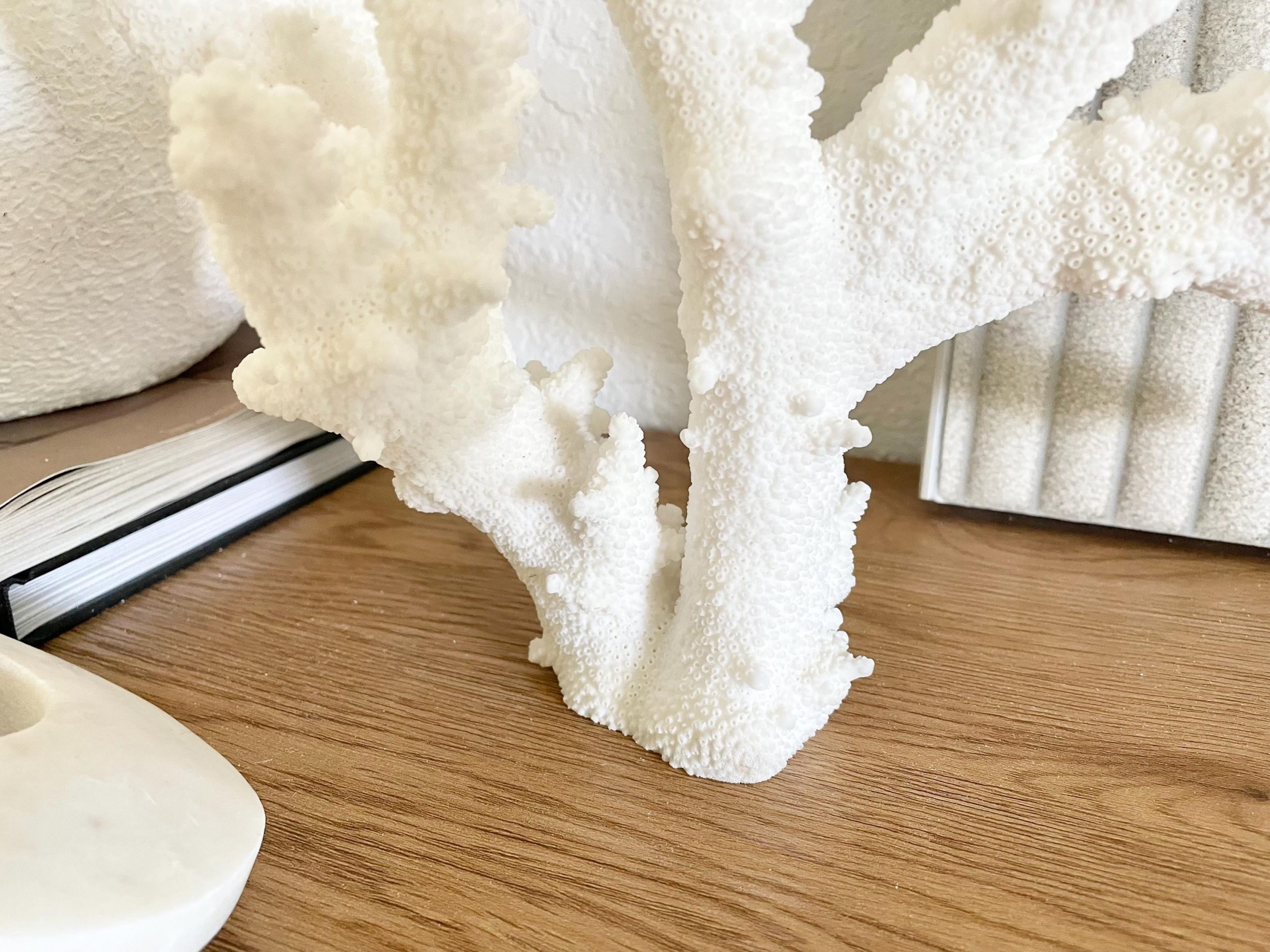 Branch Coral Fossil Specimen: 13.75" x 13"x 9.5" Coastal Beach House Décor - Image 14