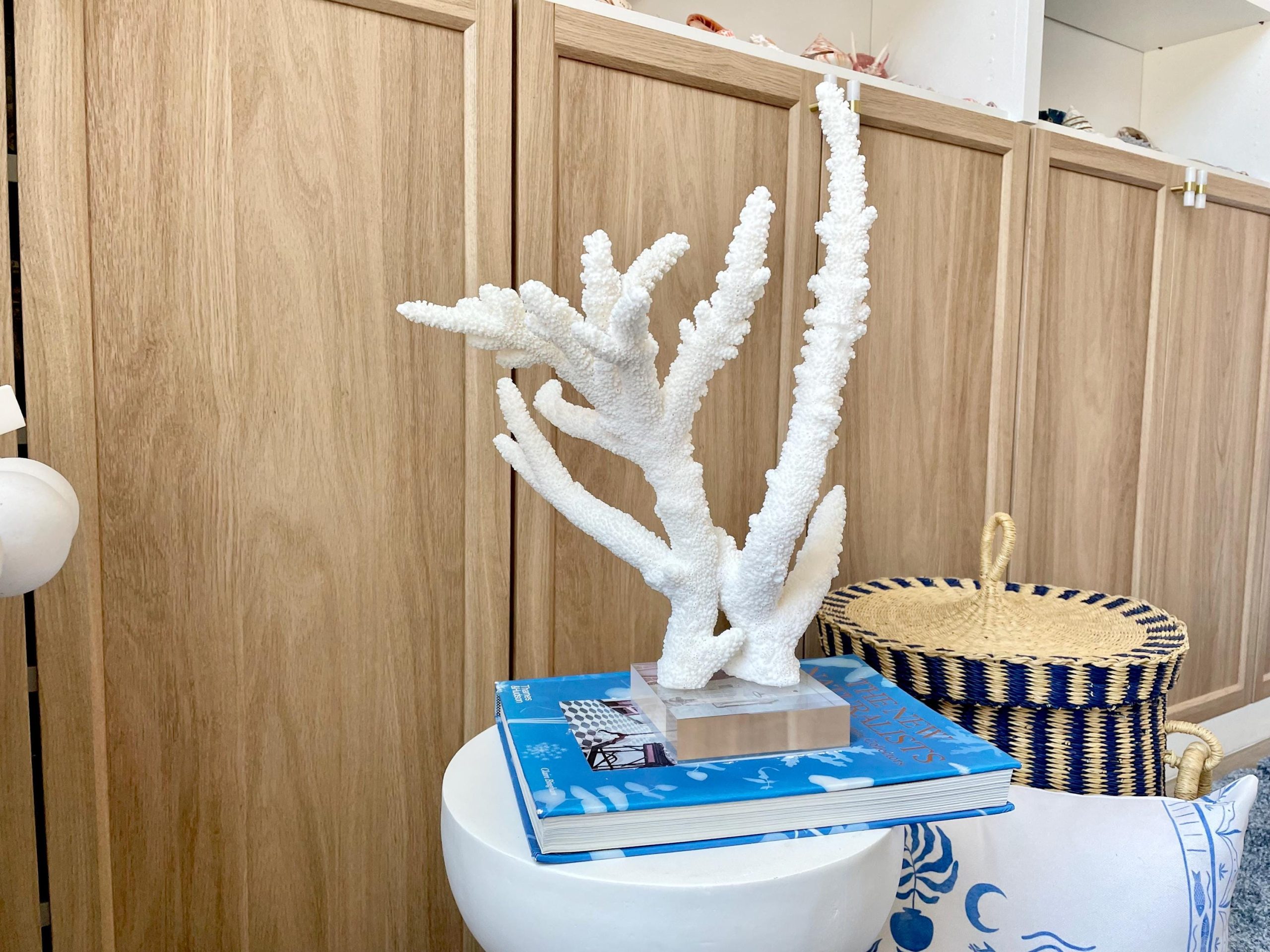 Mounted BRANCH CORAL 14.5" x 12" x 8.5" Fossil Specimen Coastal Display Beach House Décor - Image 7