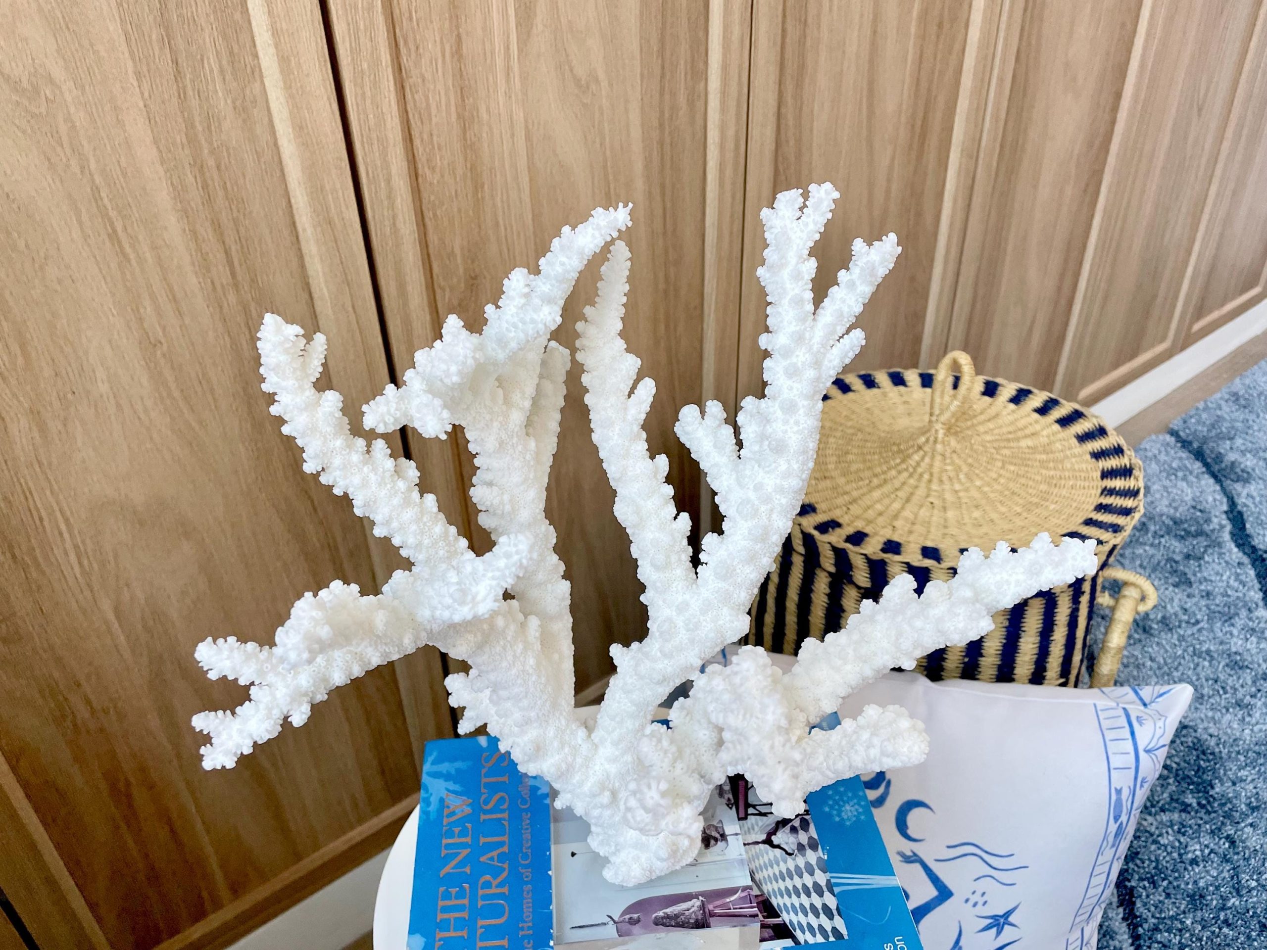 Mounted BRANCH CORAL 13.75" x 12" x 10" Fossil Specimen Coastal Display Beach House Décor - Image 7