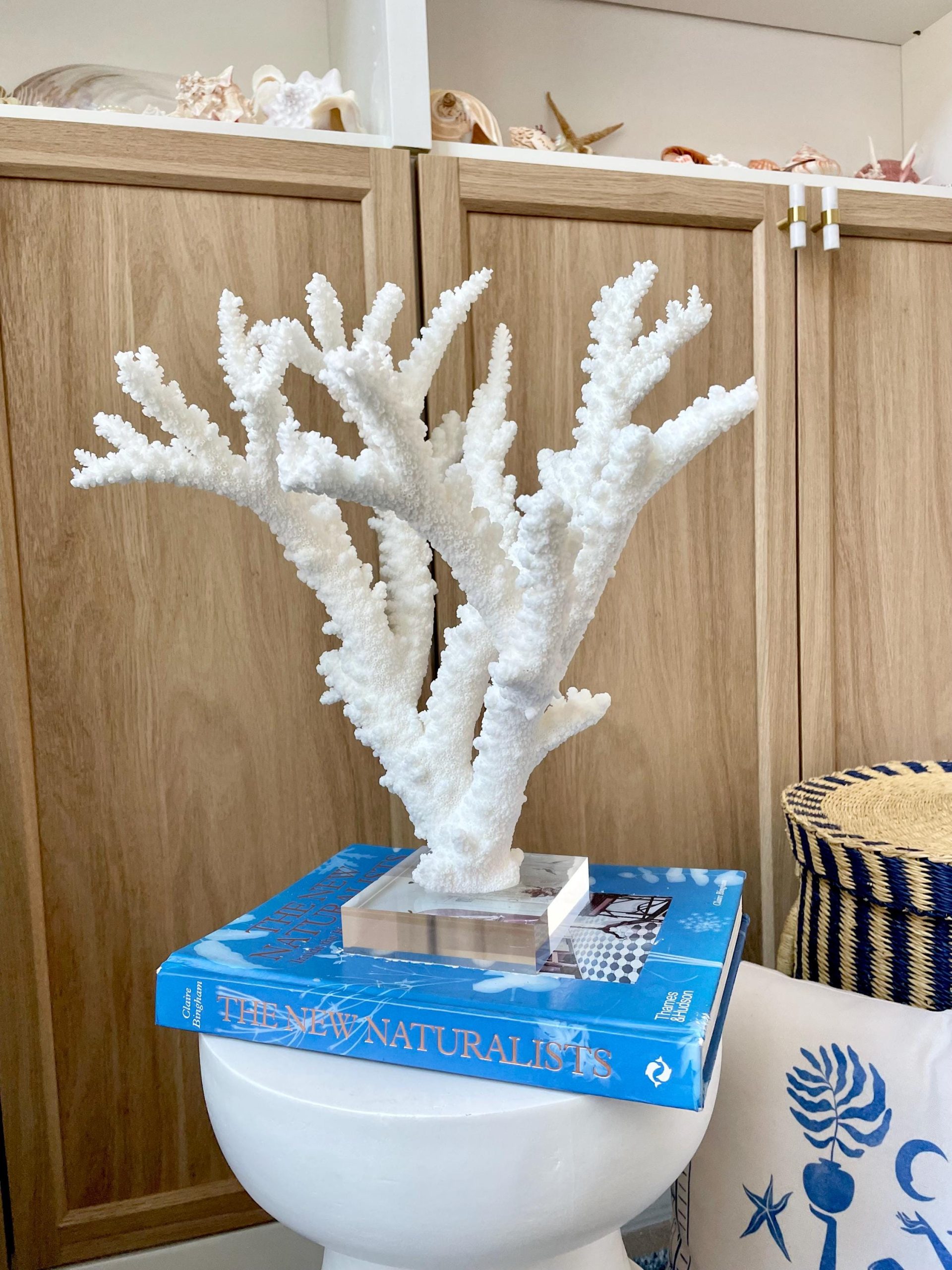 Mounted BRANCH CORAL 13.75" x 12" x 10" Fossil Specimen Coastal Display Beach House Décor - Image 11