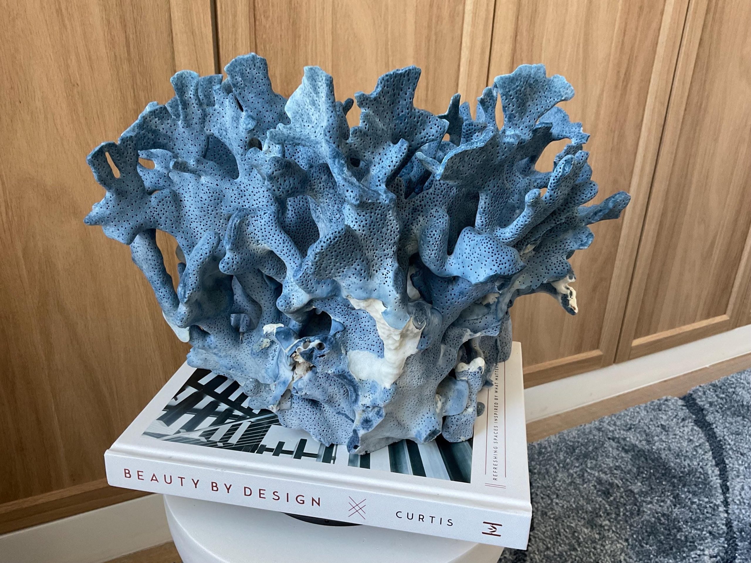 Blue Ridge Coral Fossil Specimen: 12.5" x 10" x 9" Coastal Beach House Décor - Image 11