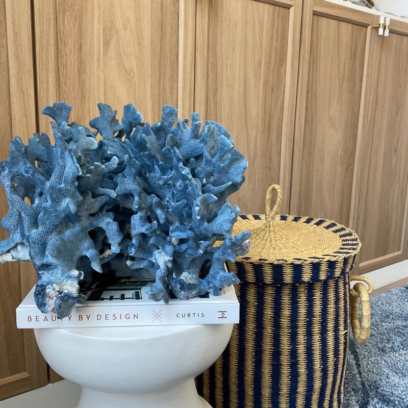 Blue Ridge Coral Fossil Specimen: 12.5" x 10" x 9" Coastal Beach House Décor