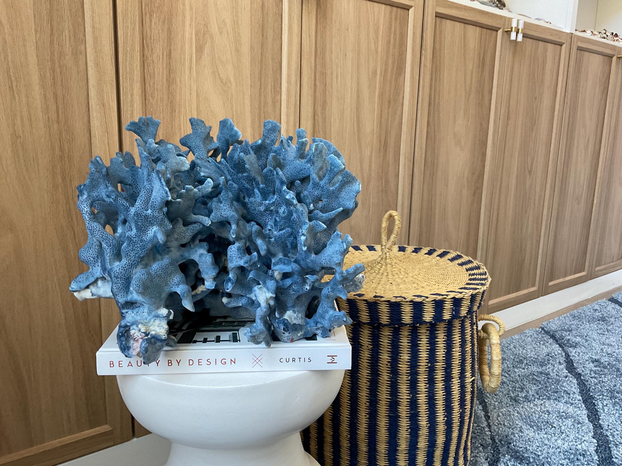 Blue Ridge Coral Fossil Specimen: 12.5" x 10" x 9" Coastal Beach House Décor