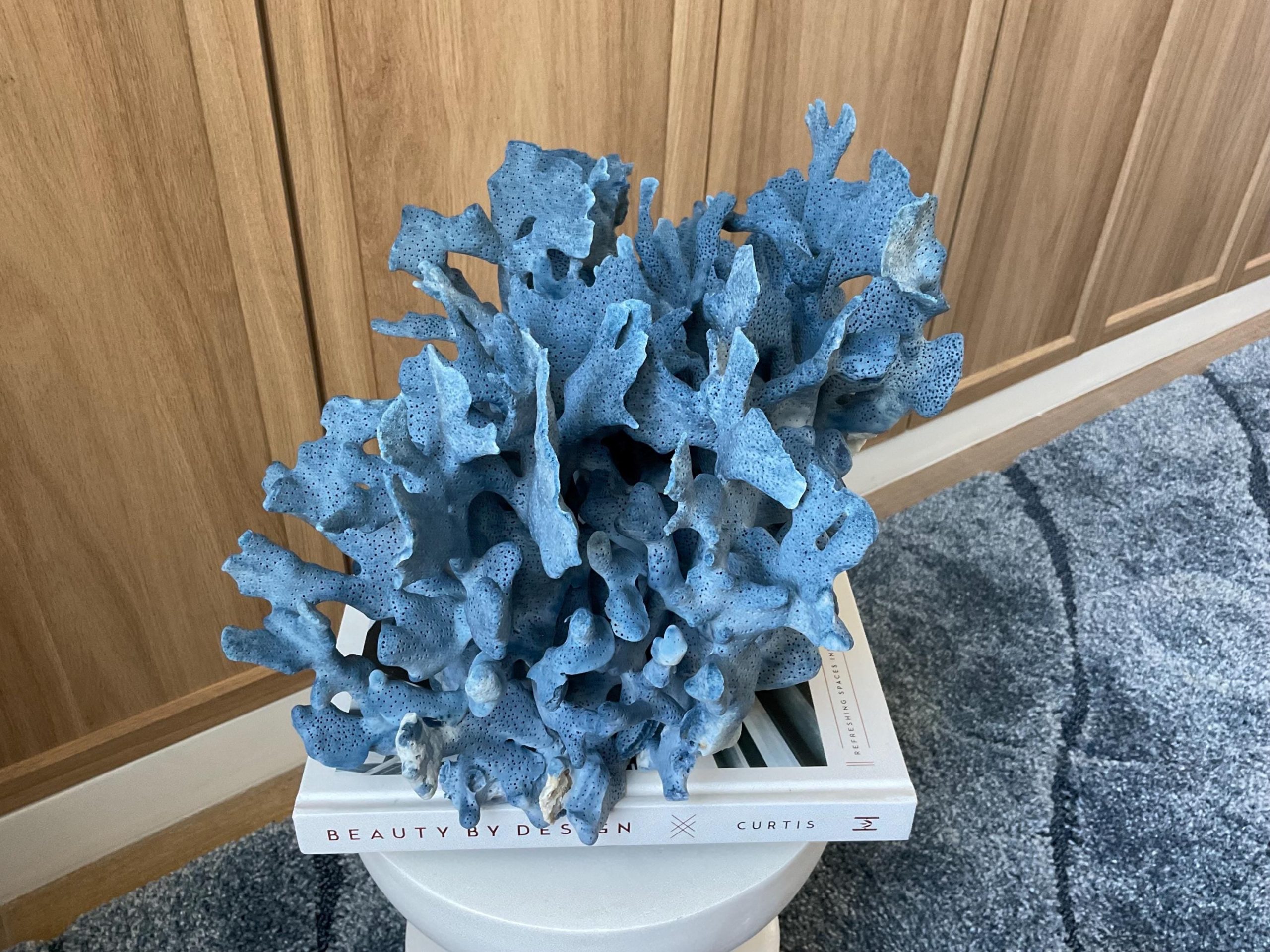 Blue Ridge Coral Fossil Specimen: 12.5" x 10" x 9" Coastal Beach House Décor - Image 9