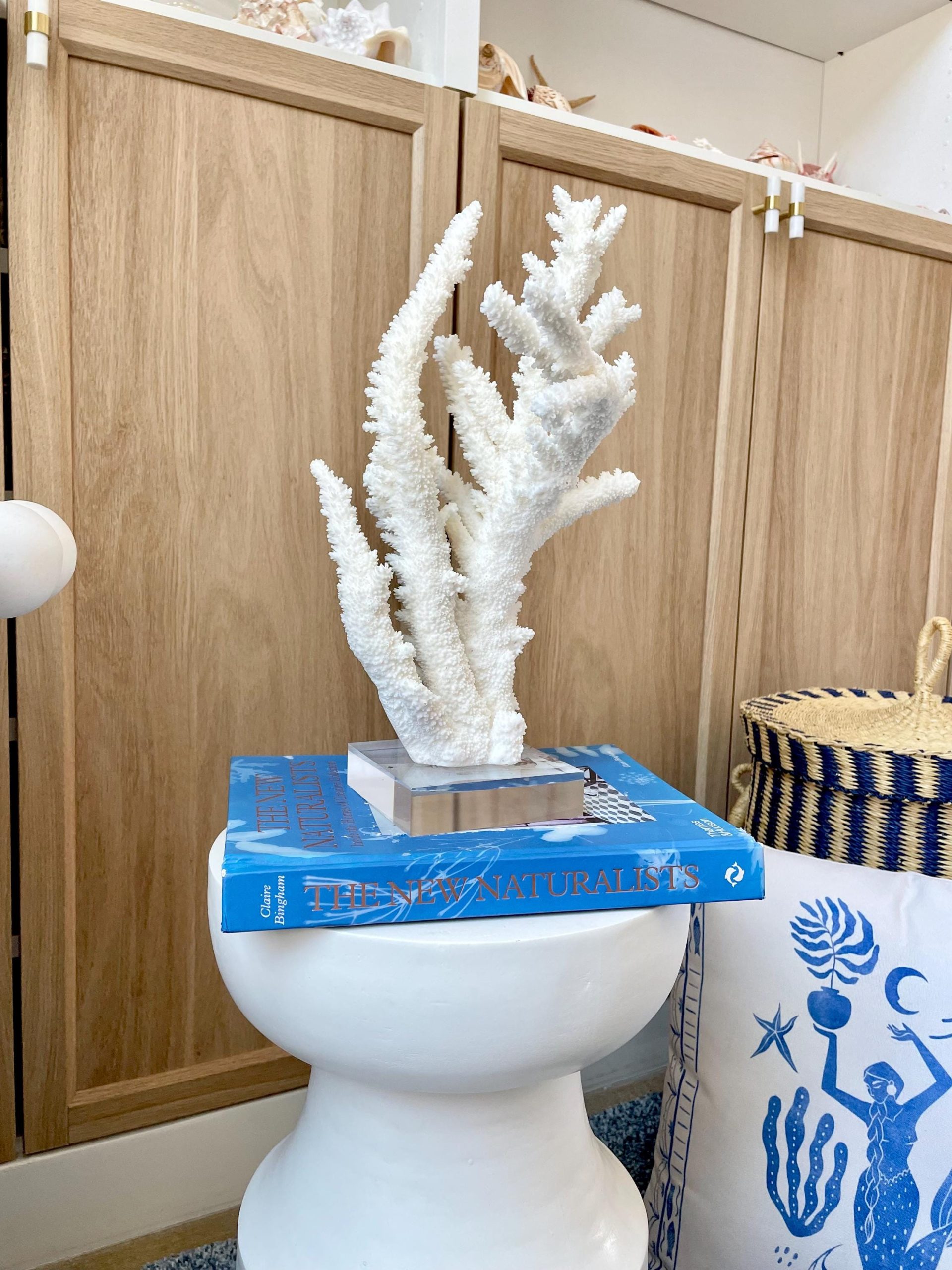 Mounted BRANCH CORAL 13.75" x 8.5" x 9" Fossil Specimen Coastal Display Beach House Décor - Image 4