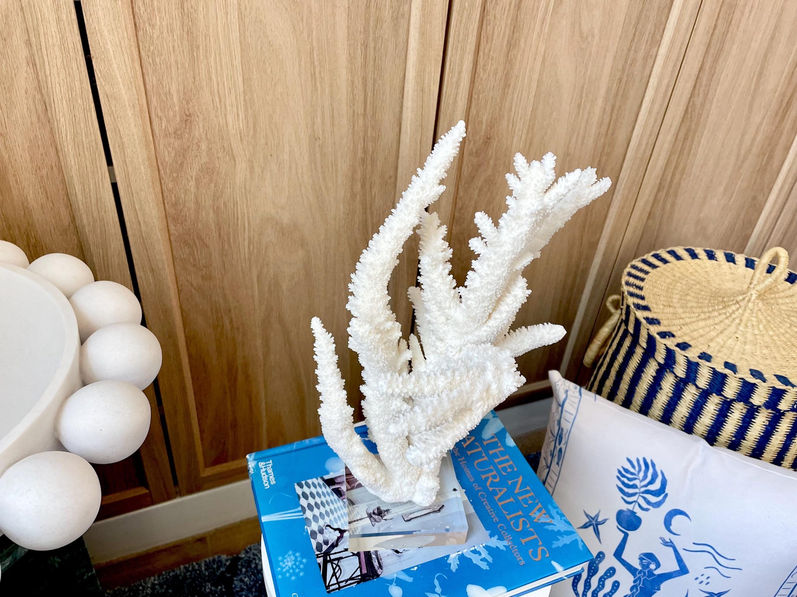 Mounted BRANCH CORAL 13.75" x 8.5" x 9" Fossil Specimen Coastal Display Beach House Décor - Image 11