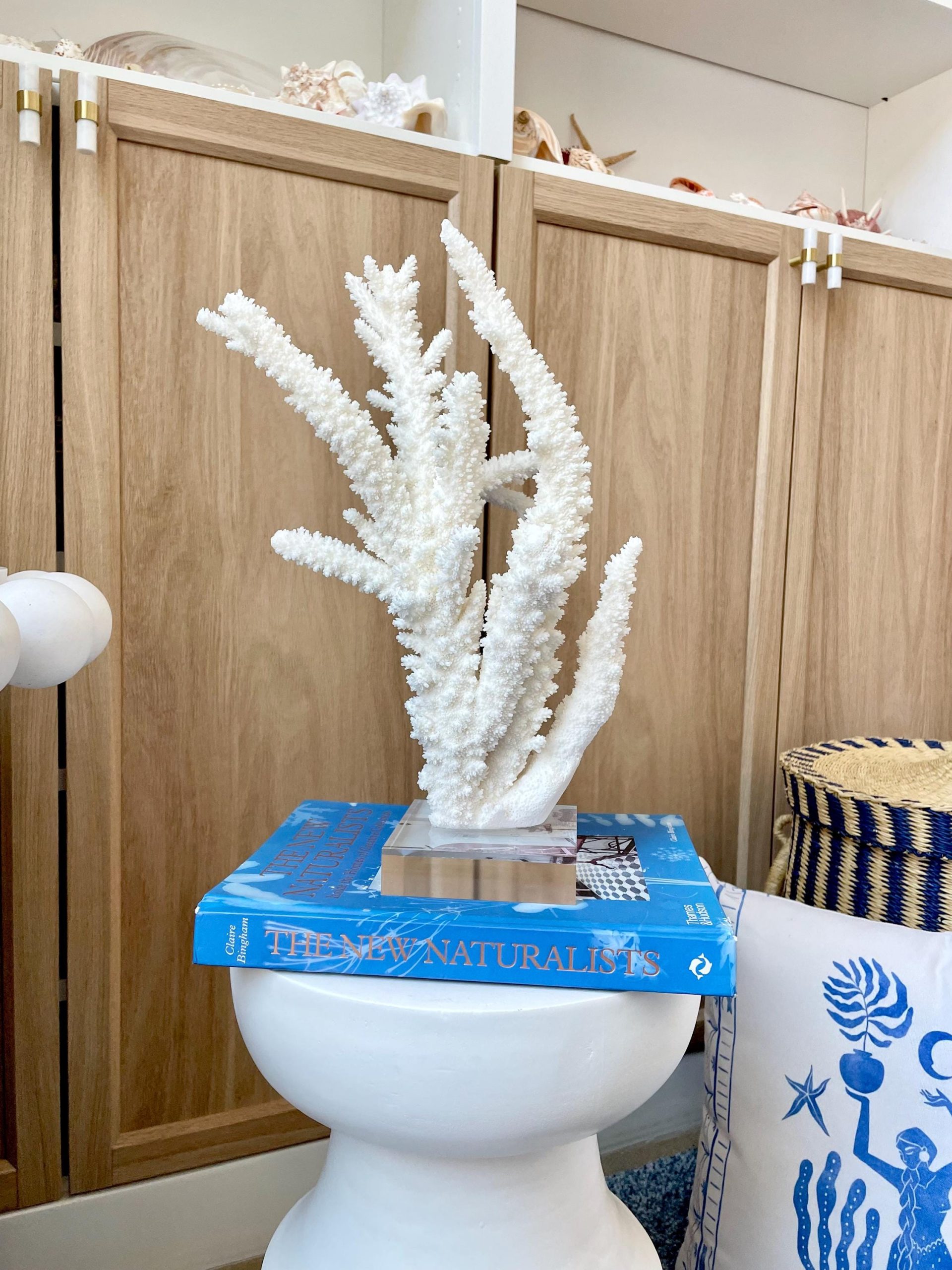 Mounted BRANCH CORAL 13.75" x 8.5" x 9" Fossil Specimen Coastal Display Beach House Décor - Image 2