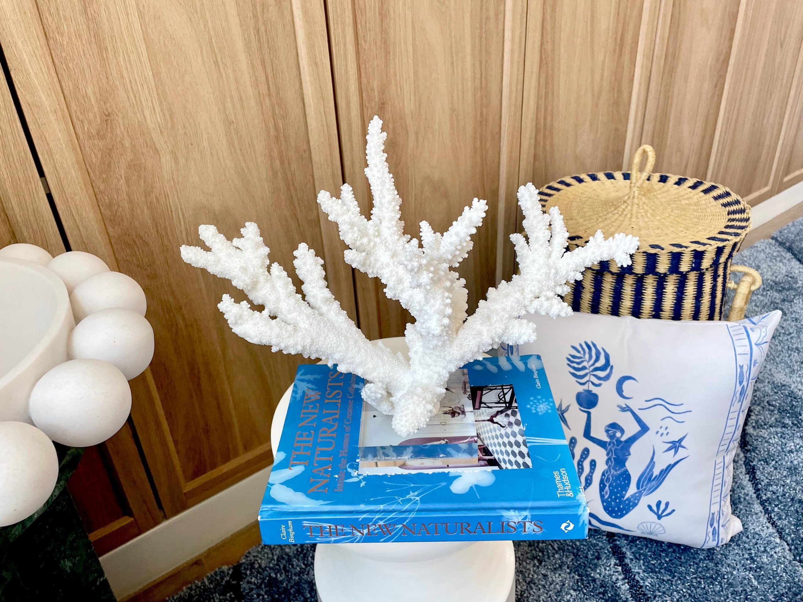 Mounted BRANCH CORAL 15" x 10.75" x 7.5" Fossil Specimen Coastal Display Beach House Décor - Image 3