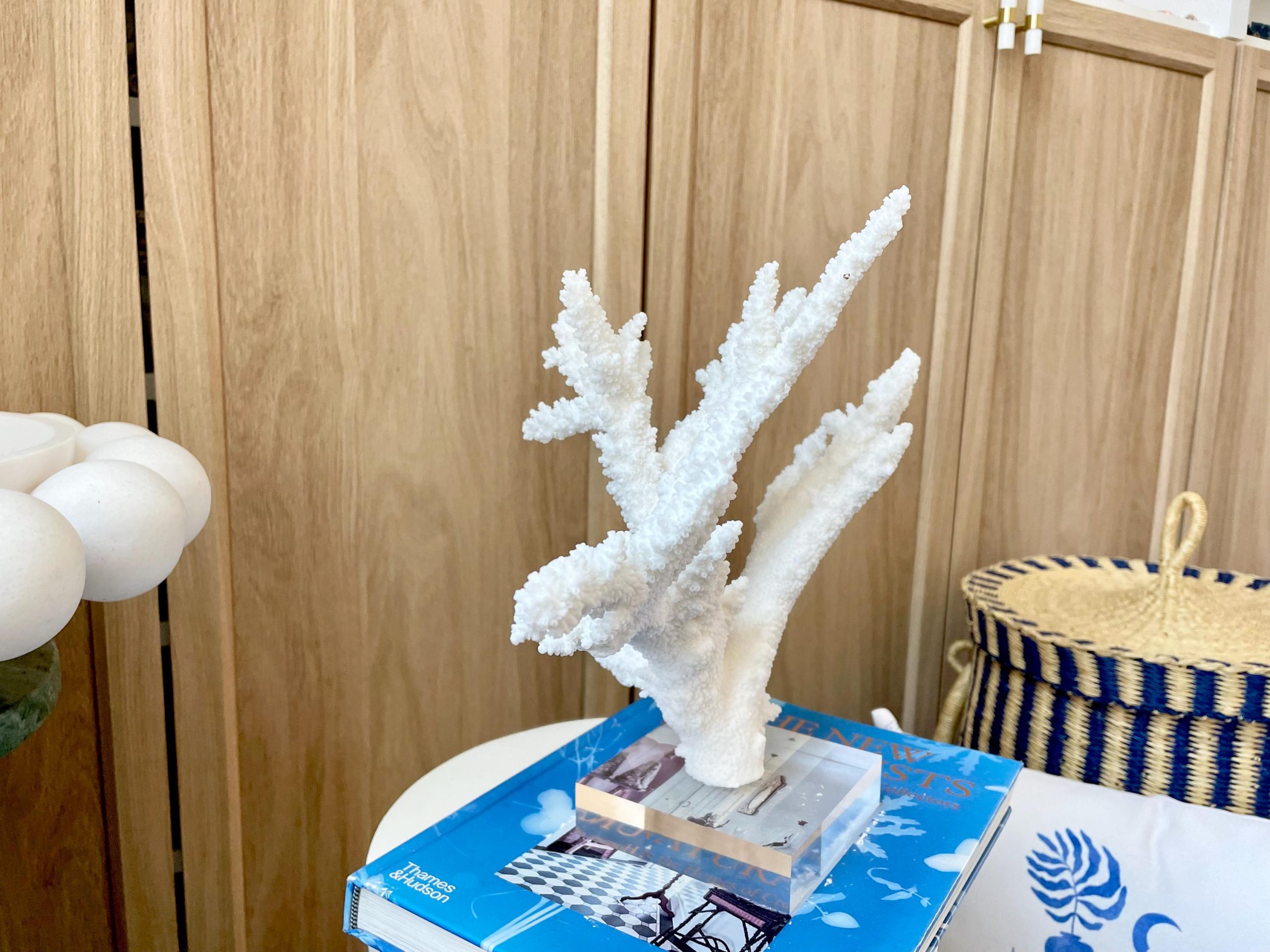 Mounted BRANCH CORAL 15" x 10.75" x 7.5" Fossil Specimen Coastal Display Beach House Décor - Image 9