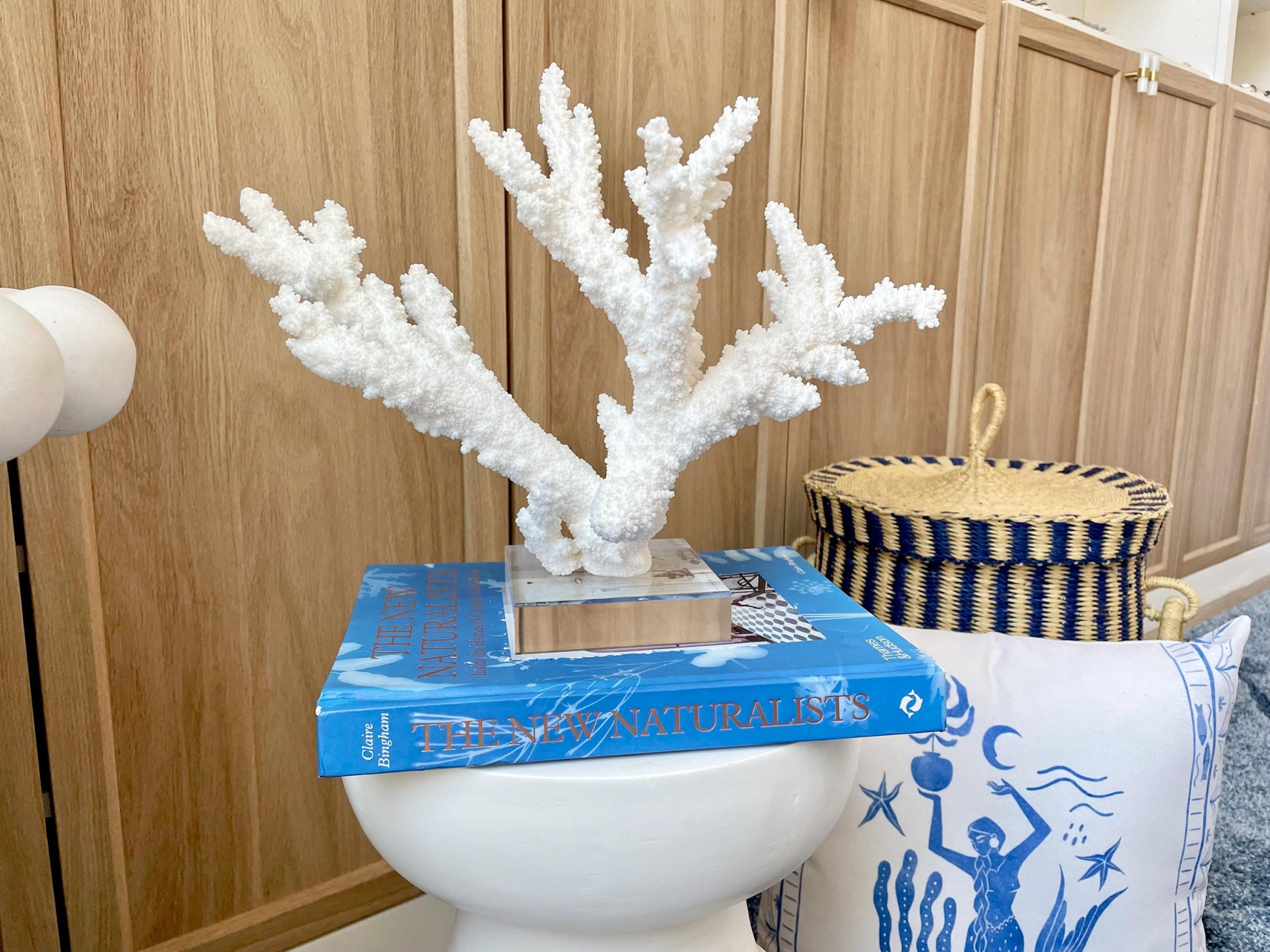 Mounted BRANCH CORAL 15" x 10.75" x 7.5" Fossil Specimen Coastal Display Beach House Décor - Image 11