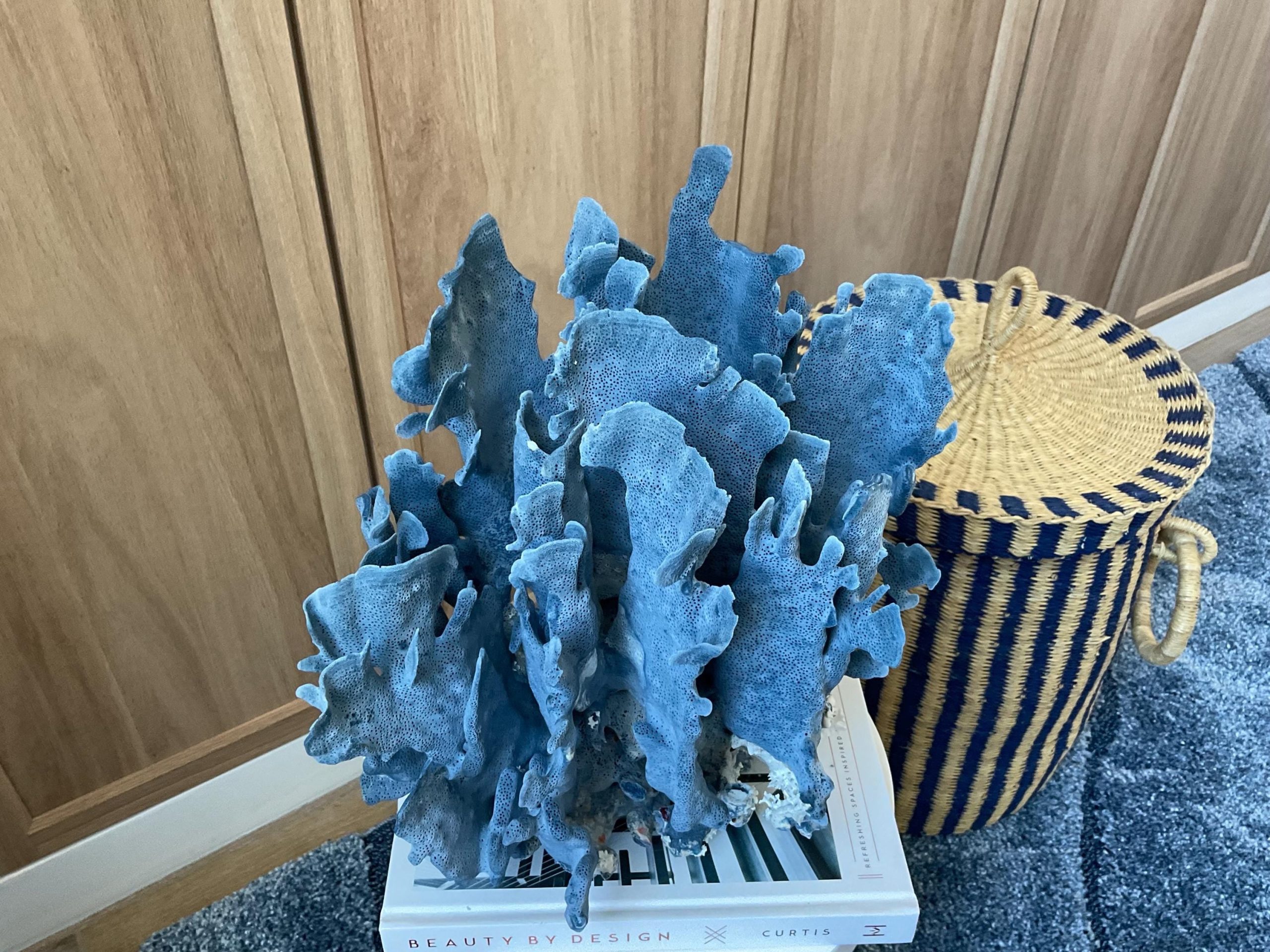 Blue Ridge Coral Fossil Specimen: 12" x 8" x 11.5" Coastal Beach House Décor - Image 4