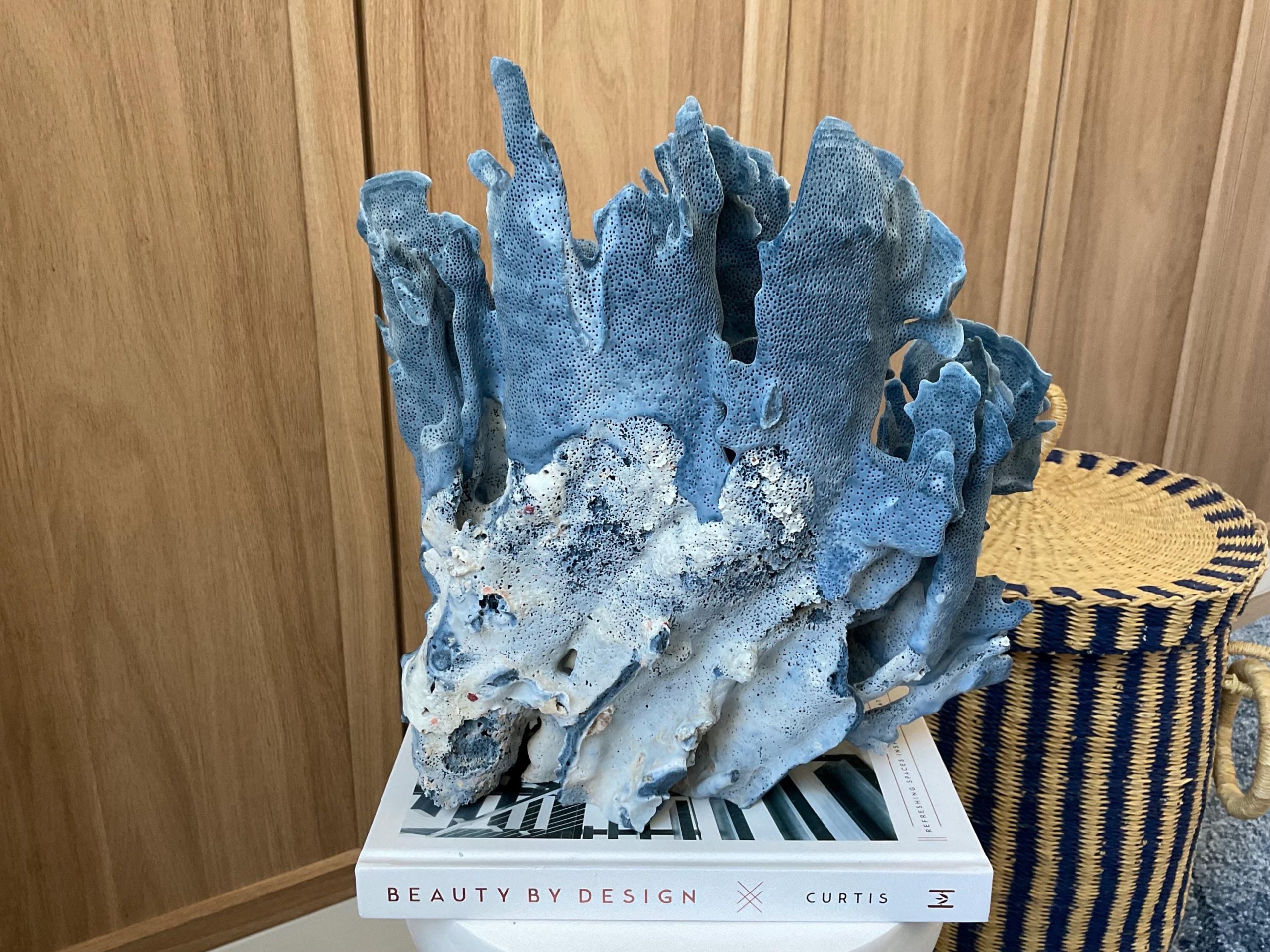 Blue Ridge Coral Fossil Specimen: 12" x 8" x 11.5" Coastal Beach House Décor - Image 9