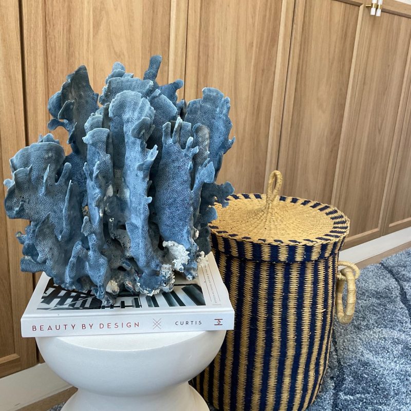 Blue Ridge Coral Fossil Specimen:  12" x 8" x 11.5" Coastal Beach House Décor