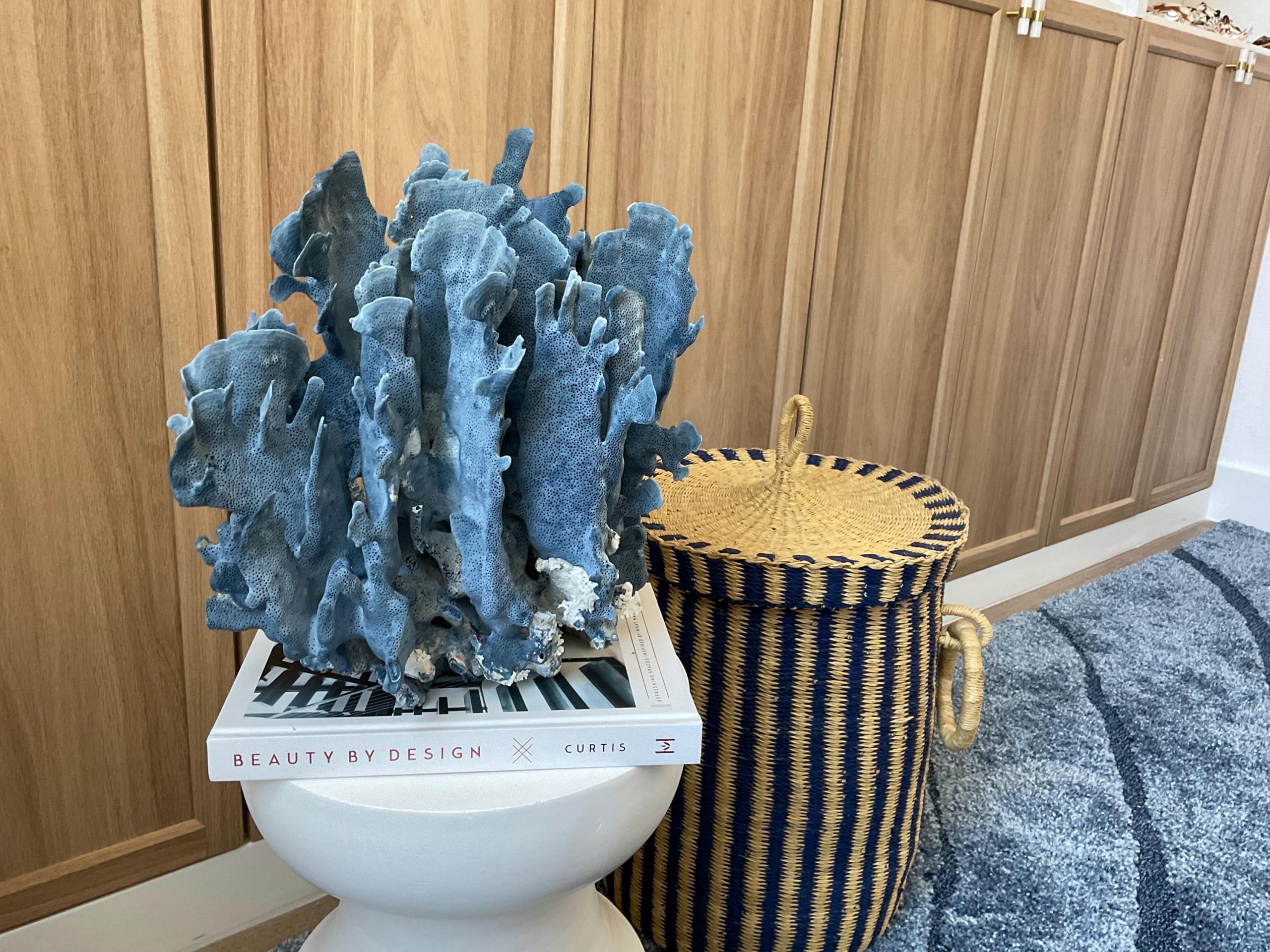 Blue Ridge Coral Fossil Specimen: 12" x 8" x 11.5" Coastal Beach House Décor