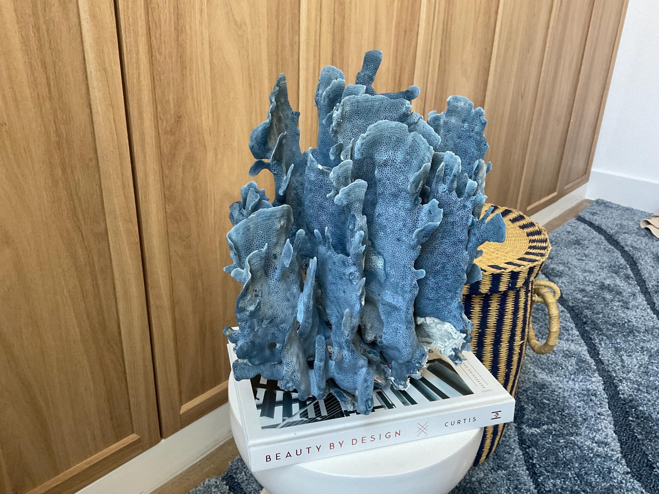 Blue Ridge Coral Fossil Specimen: 12" x 8" x 11.5" Coastal Beach House Décor - Image 7