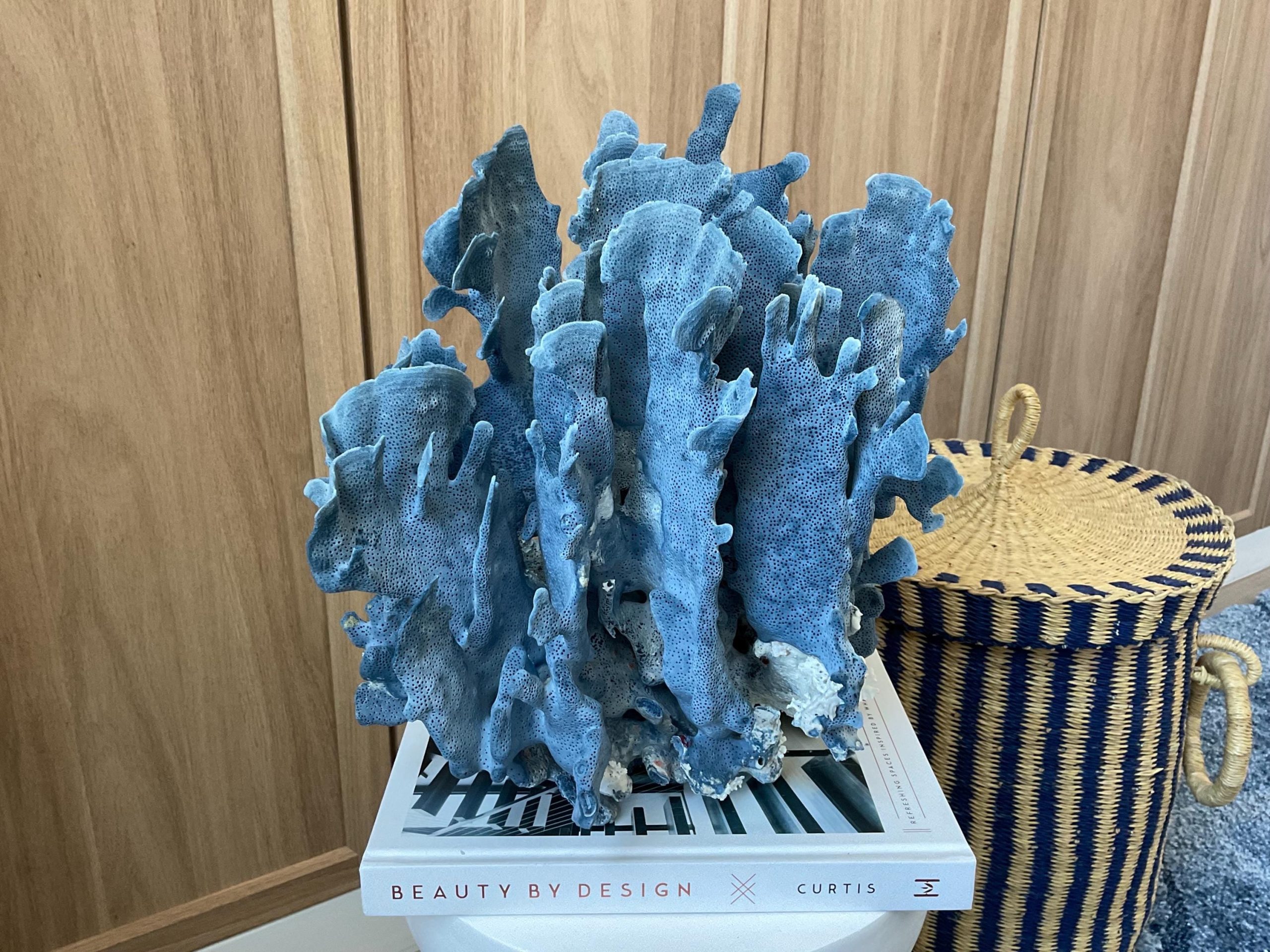 Blue Ridge Coral Fossil Specimen: 12" x 8" x 11.5" Coastal Beach House Décor - Image 5