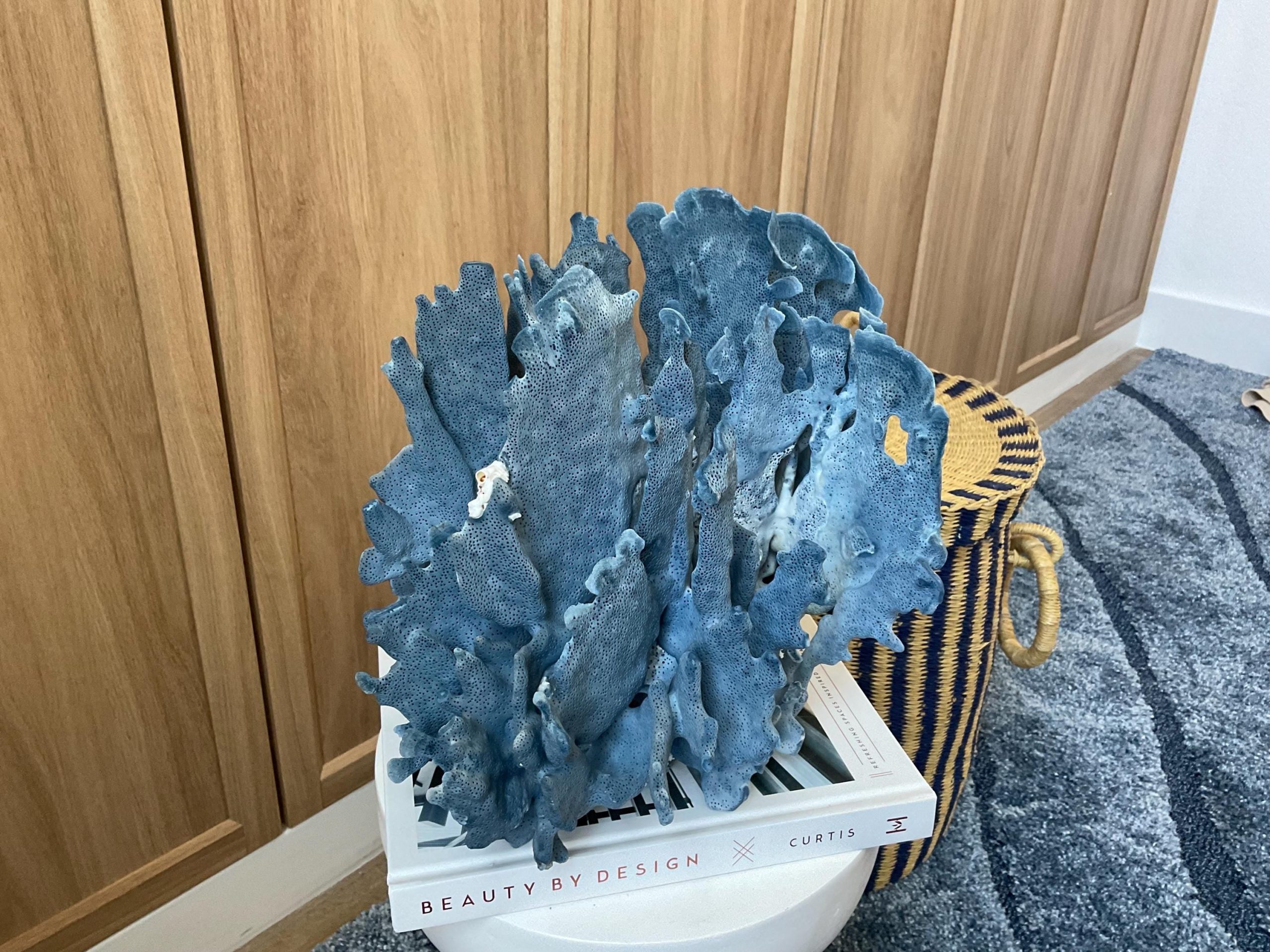 Blue Ridge Coral Fossil Specimen: 12" x 9" x 10" Coastal Beach House Décor - Image 9