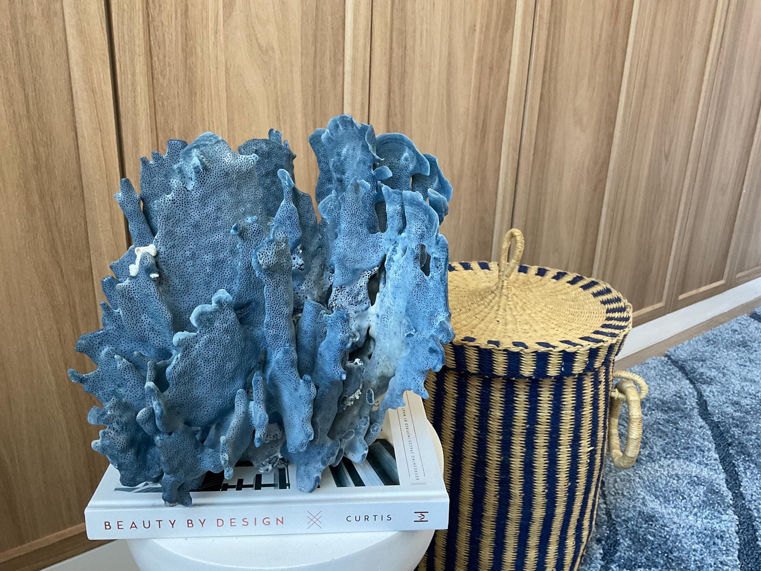 Blue Ridge Coral Fossil Specimen: 12" x 9" x 10" Coastal Beach House Décor - Image 10