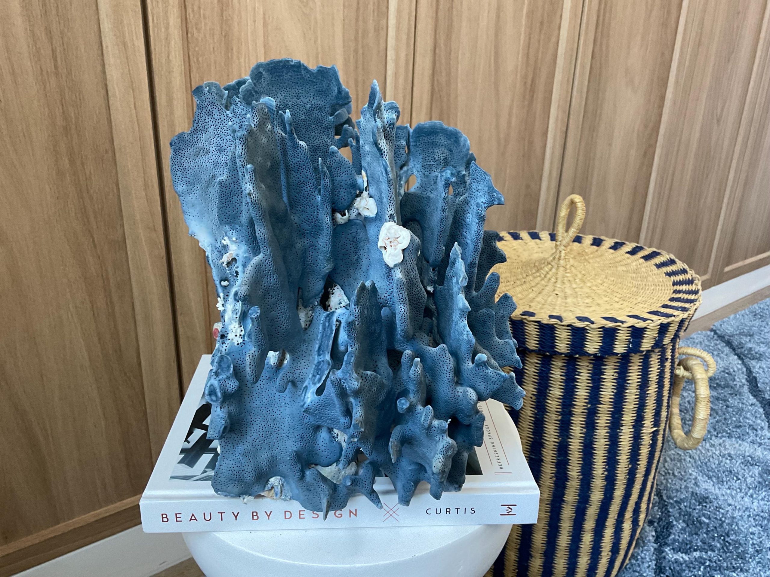 Blue Ridge Coral Fossil Specimen: 12" x 9" x 10" Coastal Beach House Décor - Image 8