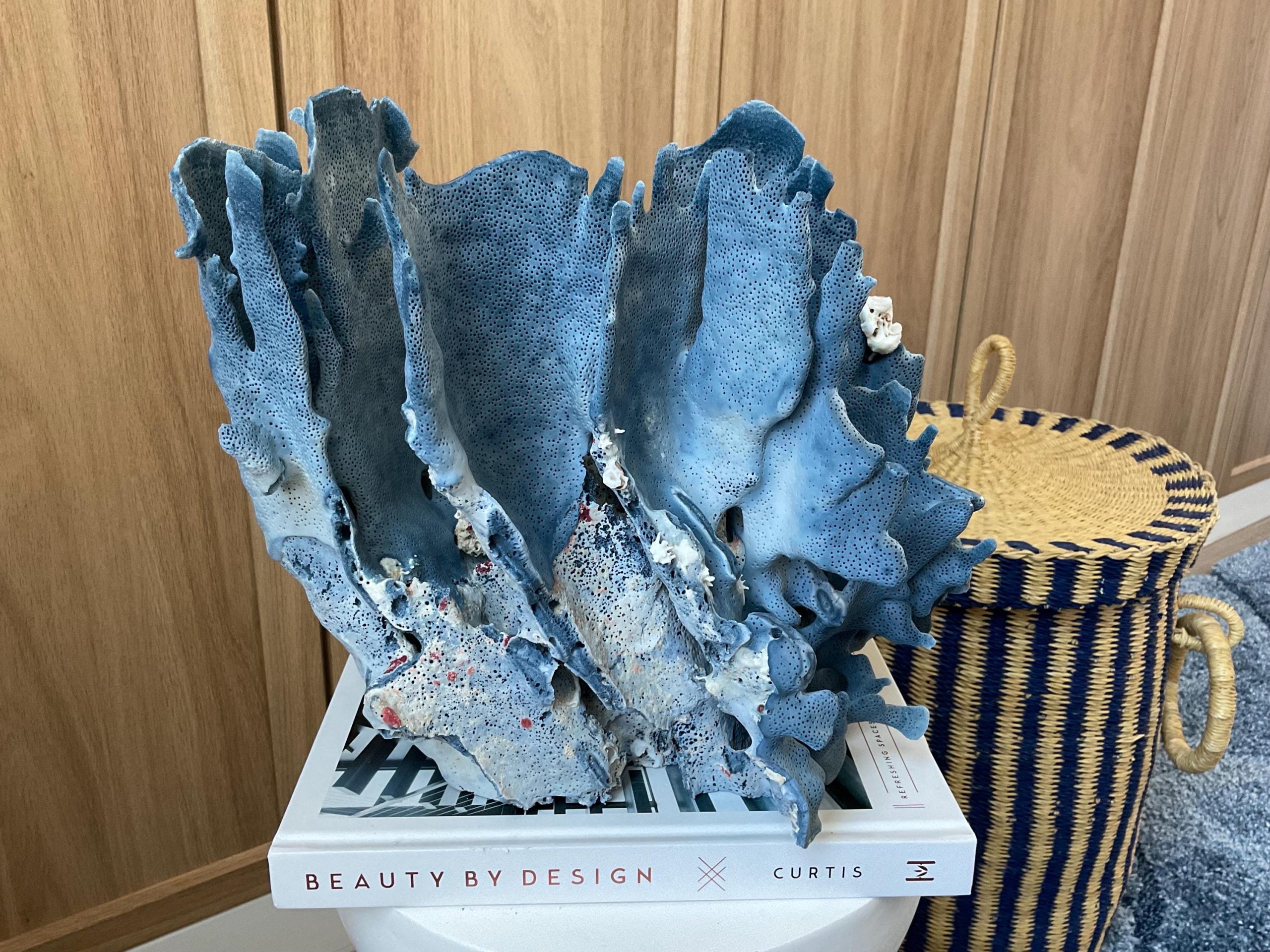 Blue Ridge Coral Fossil Specimen: 12" x 9" x 10" Coastal Beach House Décor - Image 12