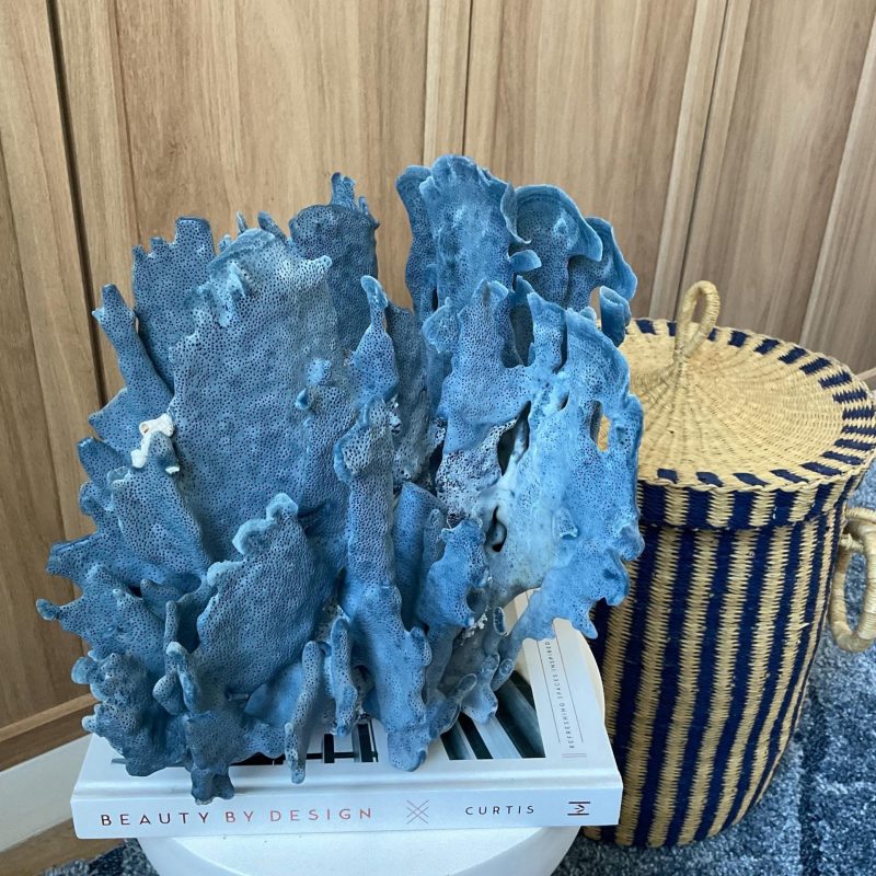 Blue Ridge Coral Fossil Specimen: 12" x 9" x 10" Coastal Beach House Décor