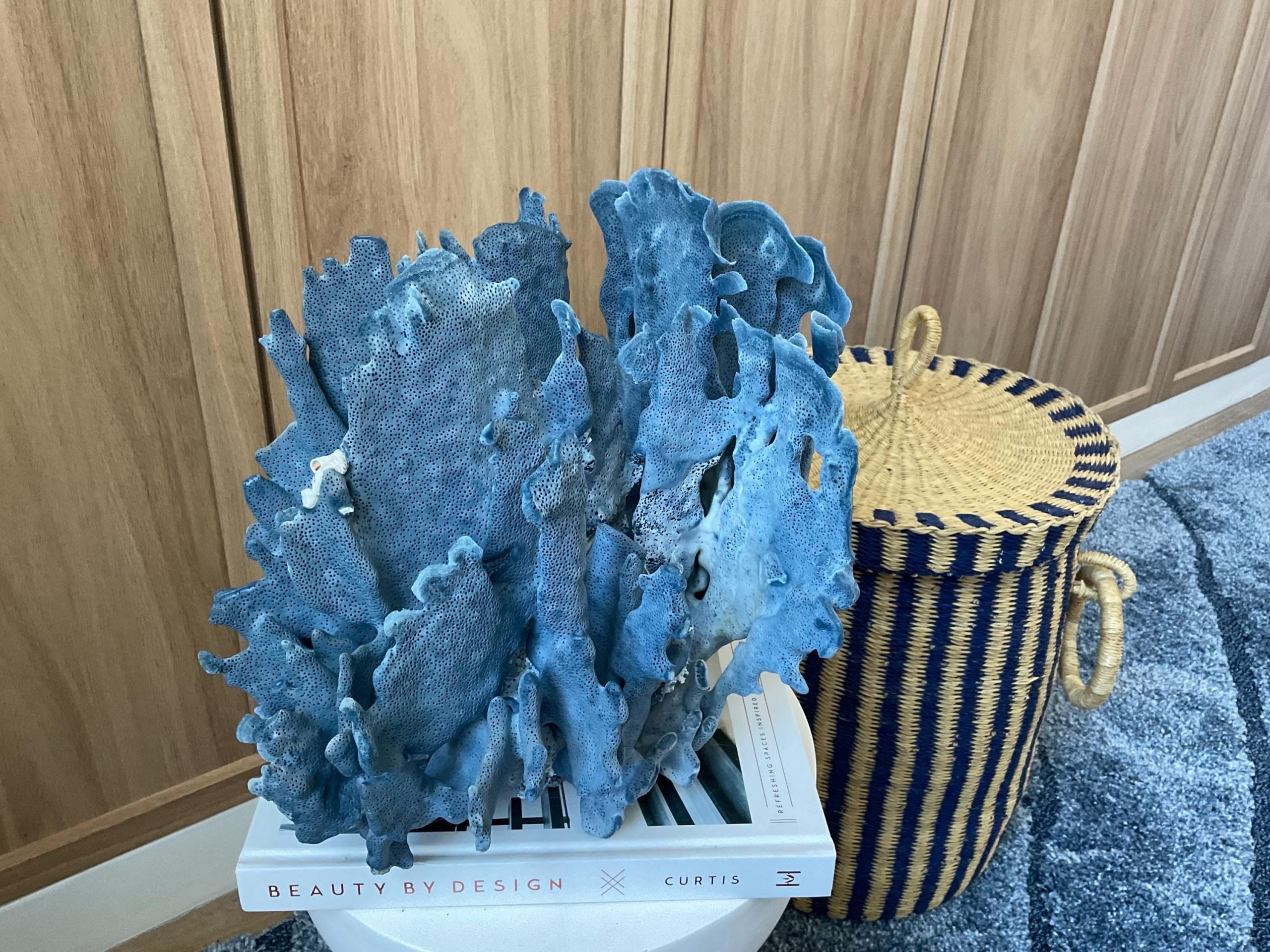 Blue Ridge Coral Fossil Specimen: 12" x 9" x 10" Coastal Beach House Décor