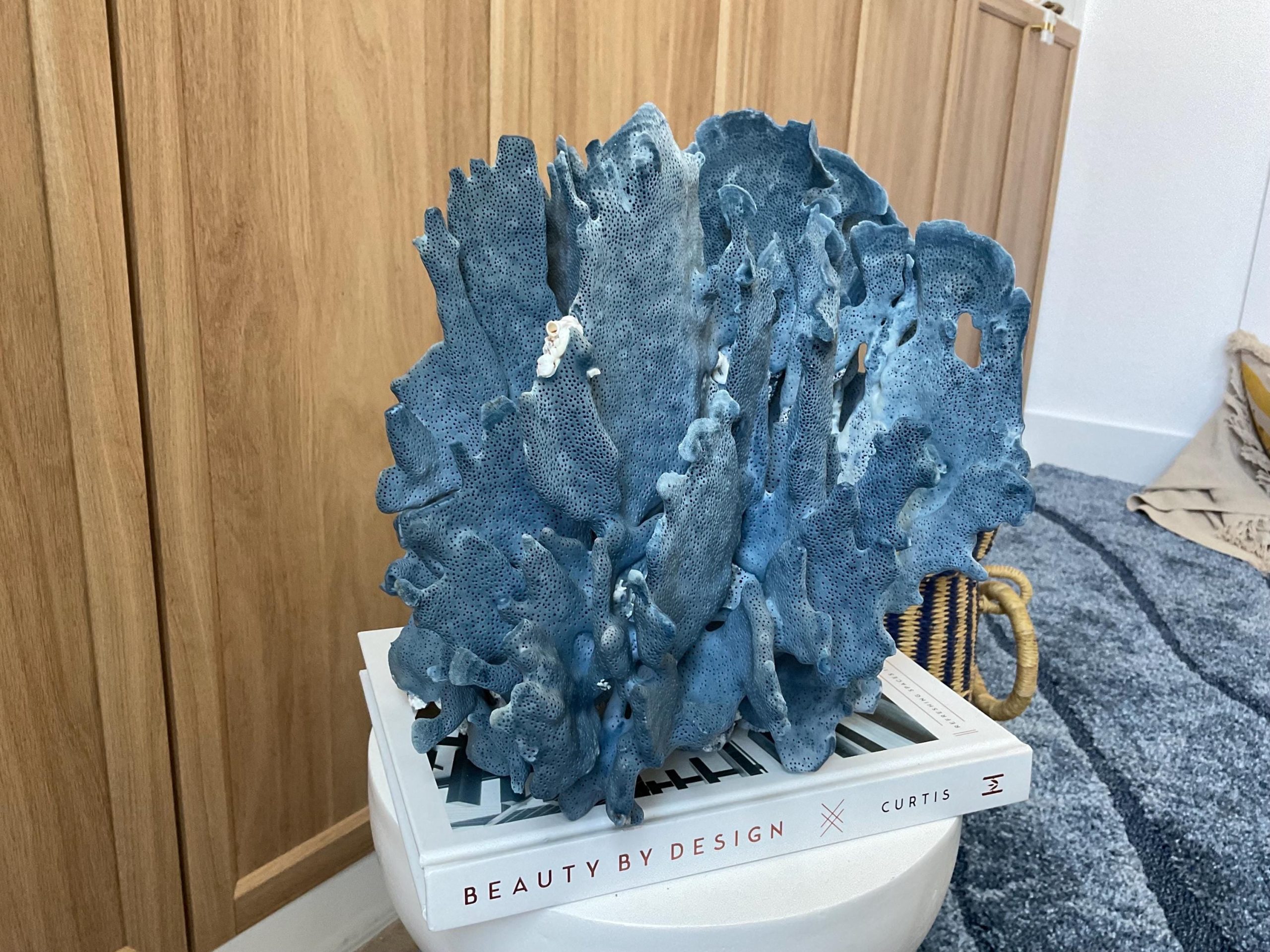 Blue Ridge Coral Fossil Specimen: 12" x 9" x 10" Coastal Beach House Décor - Image 6