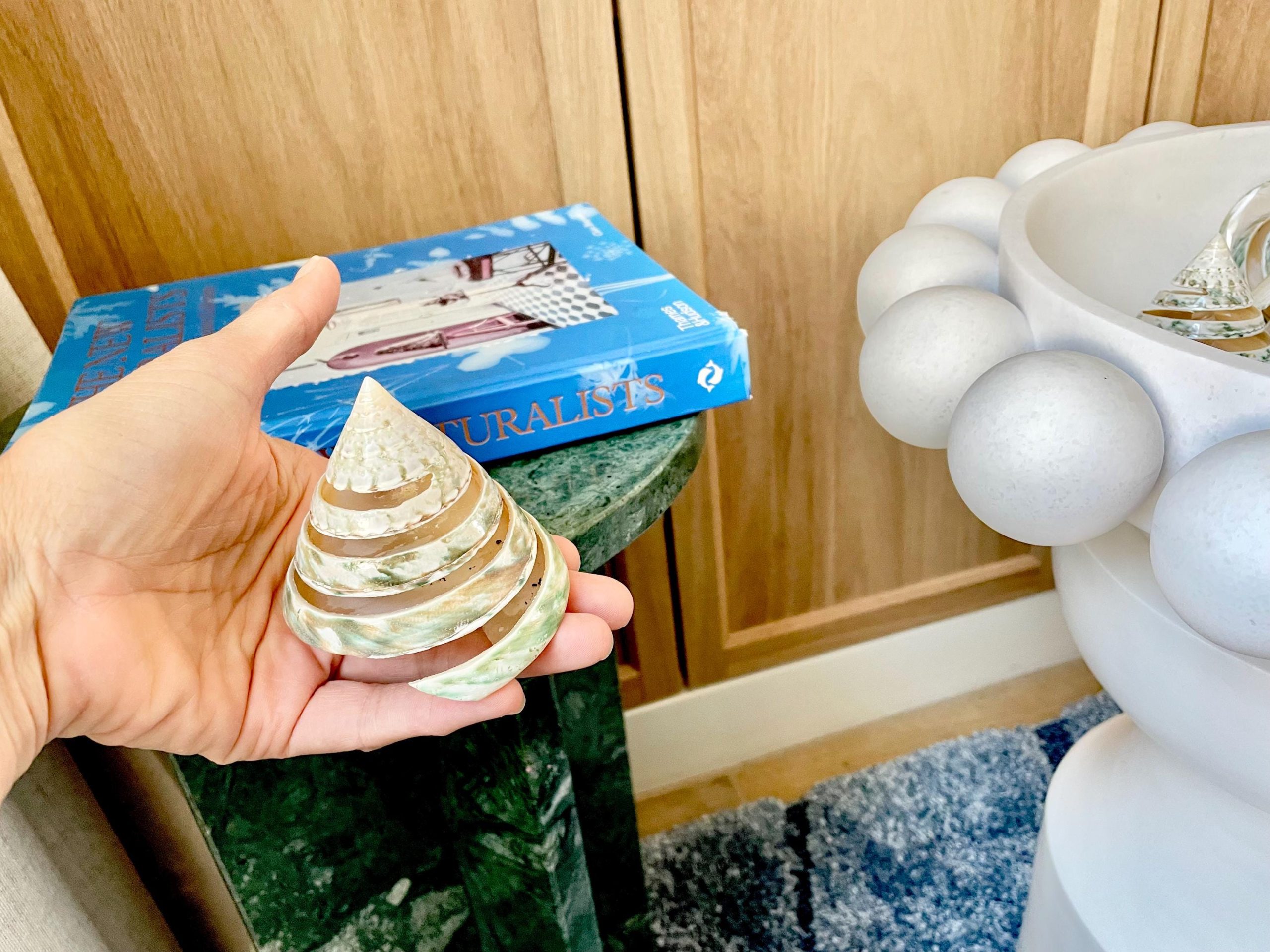 Green Spiral Cut Trochus Seashell: You Choose Size, Natural Shells Décor - Image 6