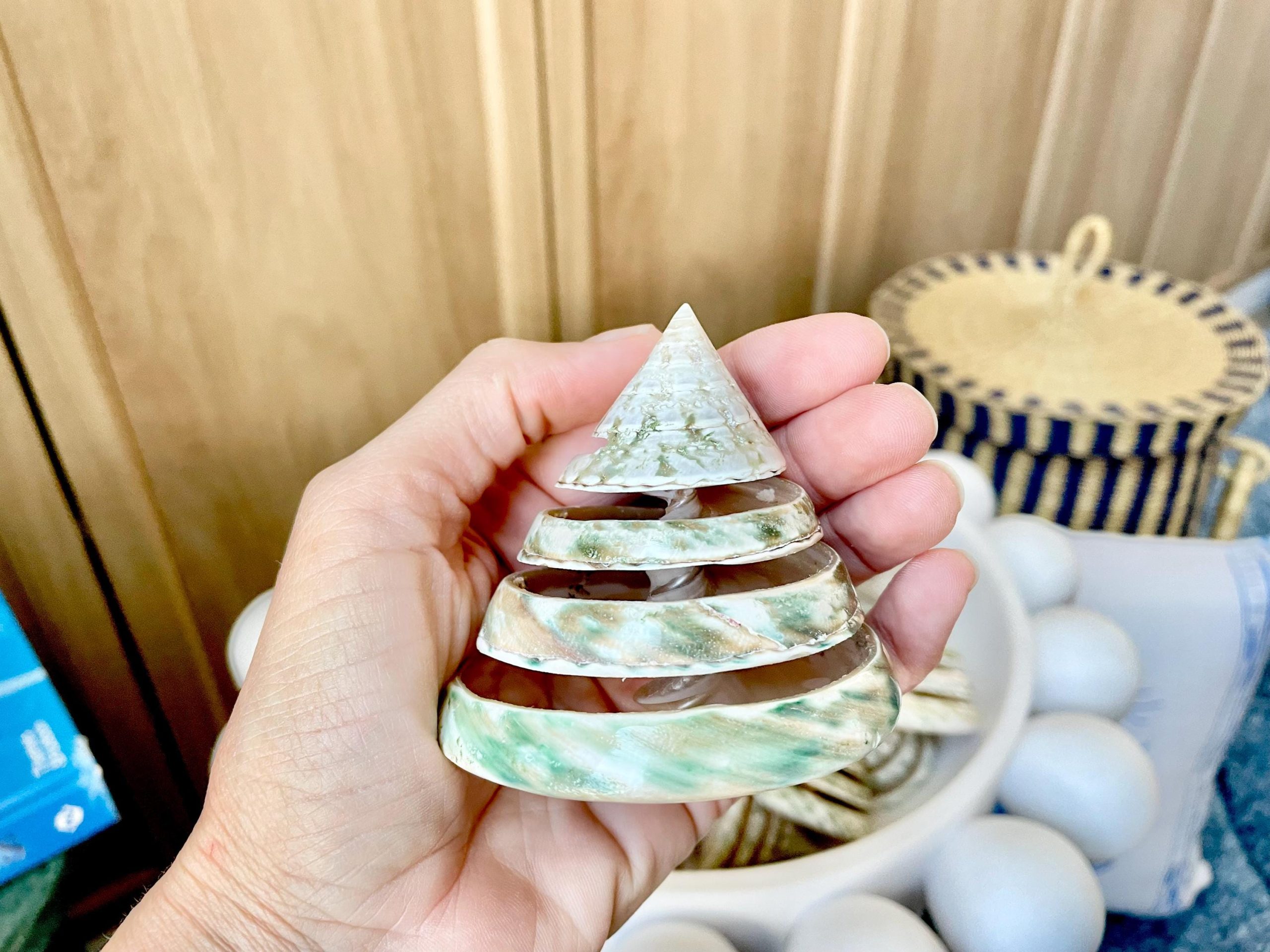 Green Spiral Cut Trochus Seashell: You Choose Size, Natural Shells Décor - Image 10