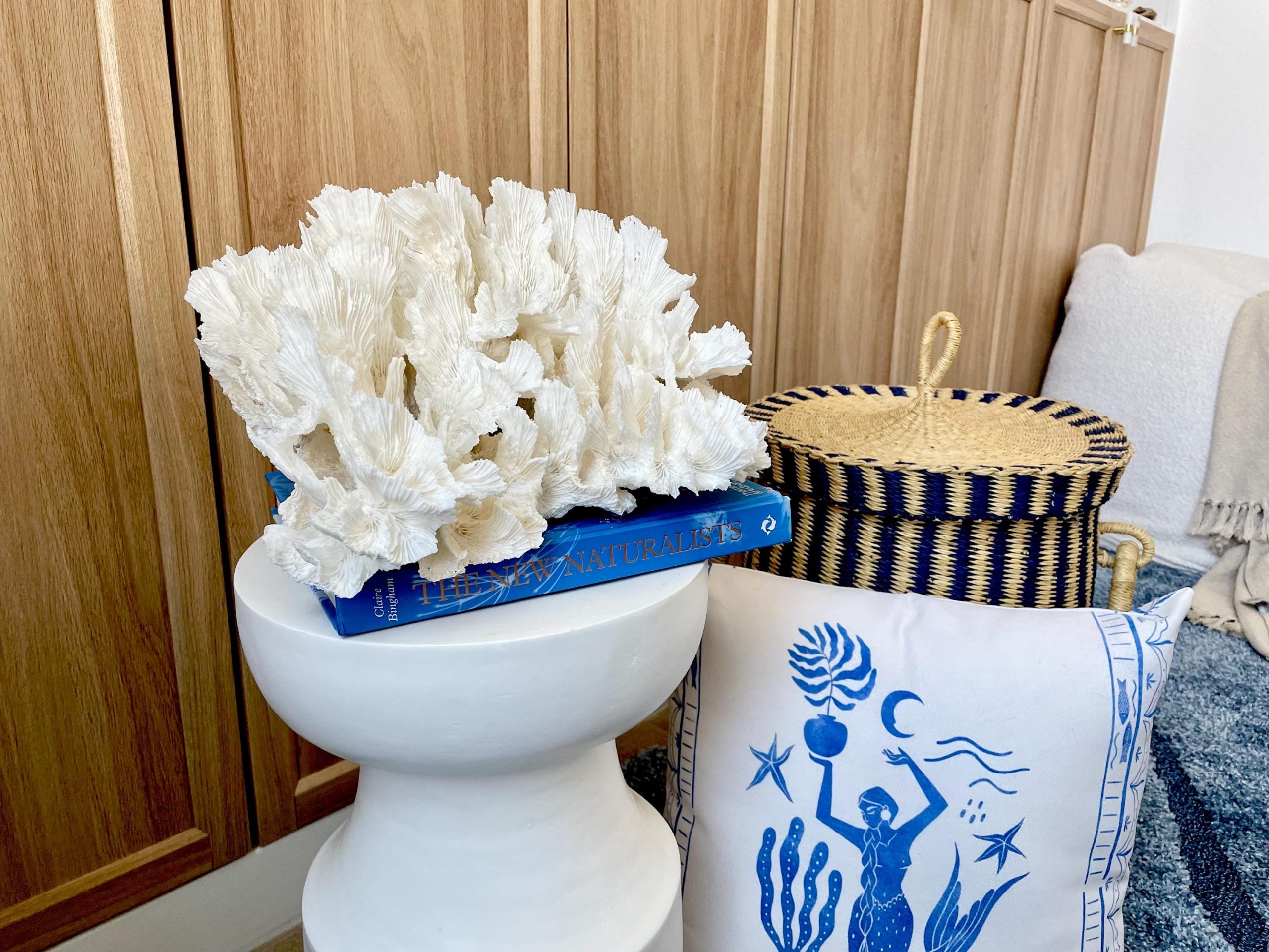 Natural Lettuce Coral Fossil: 15" x 13" x 6.5" Coastal Beach House White Décor - Image 2