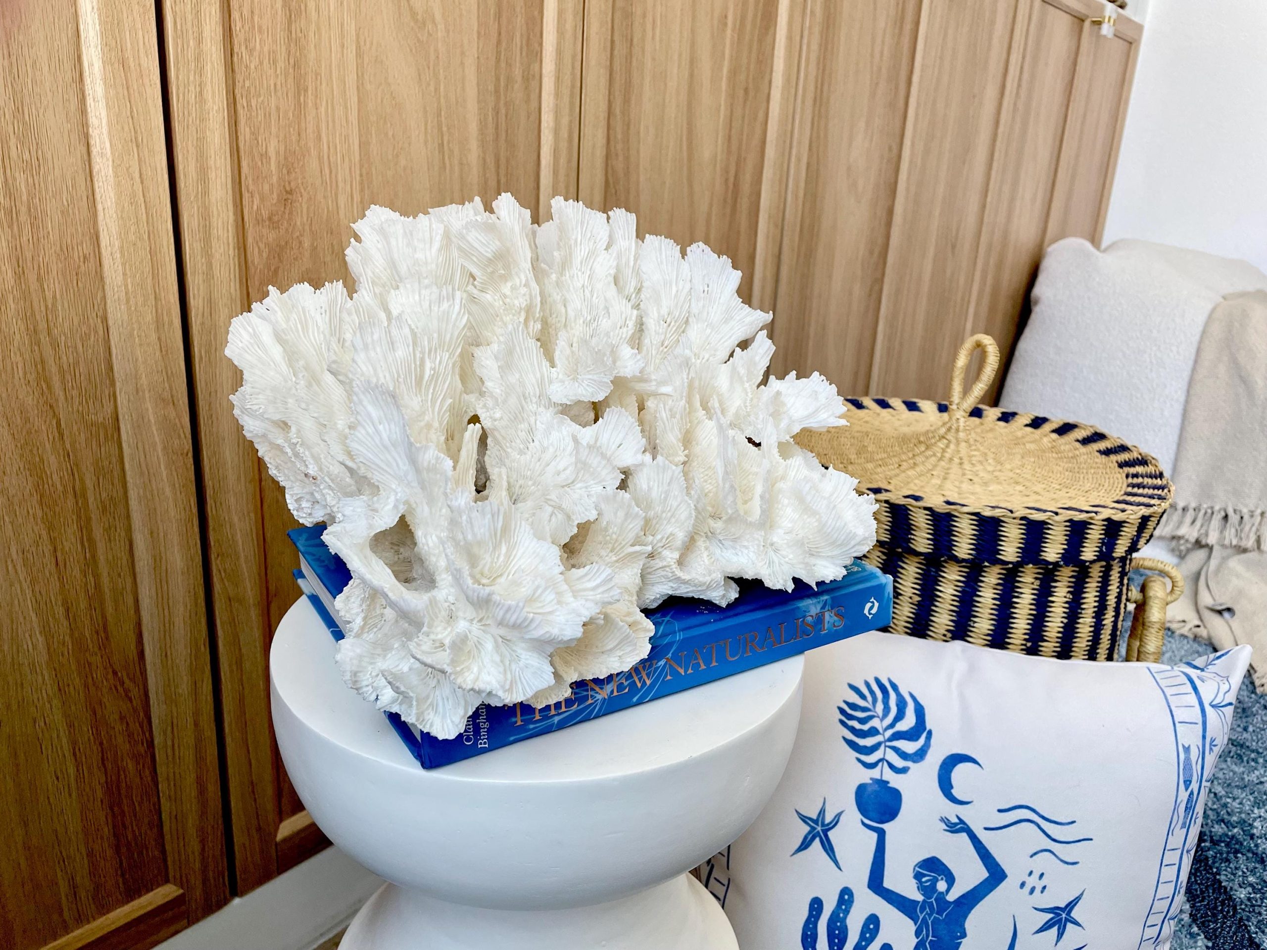 Natural Lettuce Coral Fossil: 15" x 13" x 6.5" Coastal Beach House White Décor - Image 3