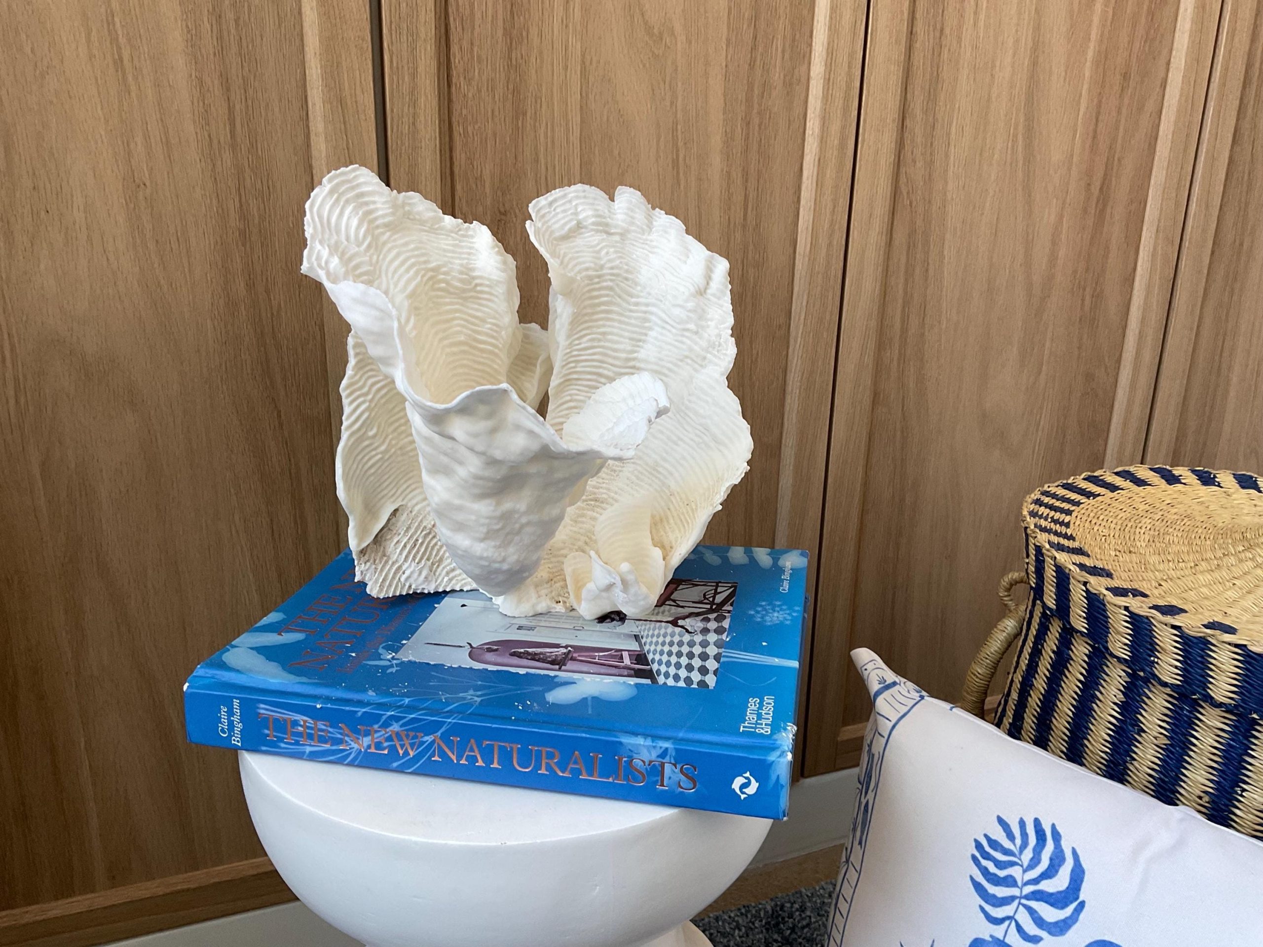 Cup Rugosa Coral Fossil Specimen: 9” x 8.5” x 8.5” Coastal Beach House Décor - Image 9