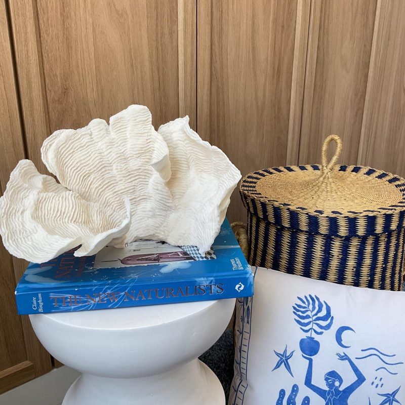 Cup Rugosa Coral Fossil Specimen: 10.5” x 7” x 8” Coastal Beach House Décor