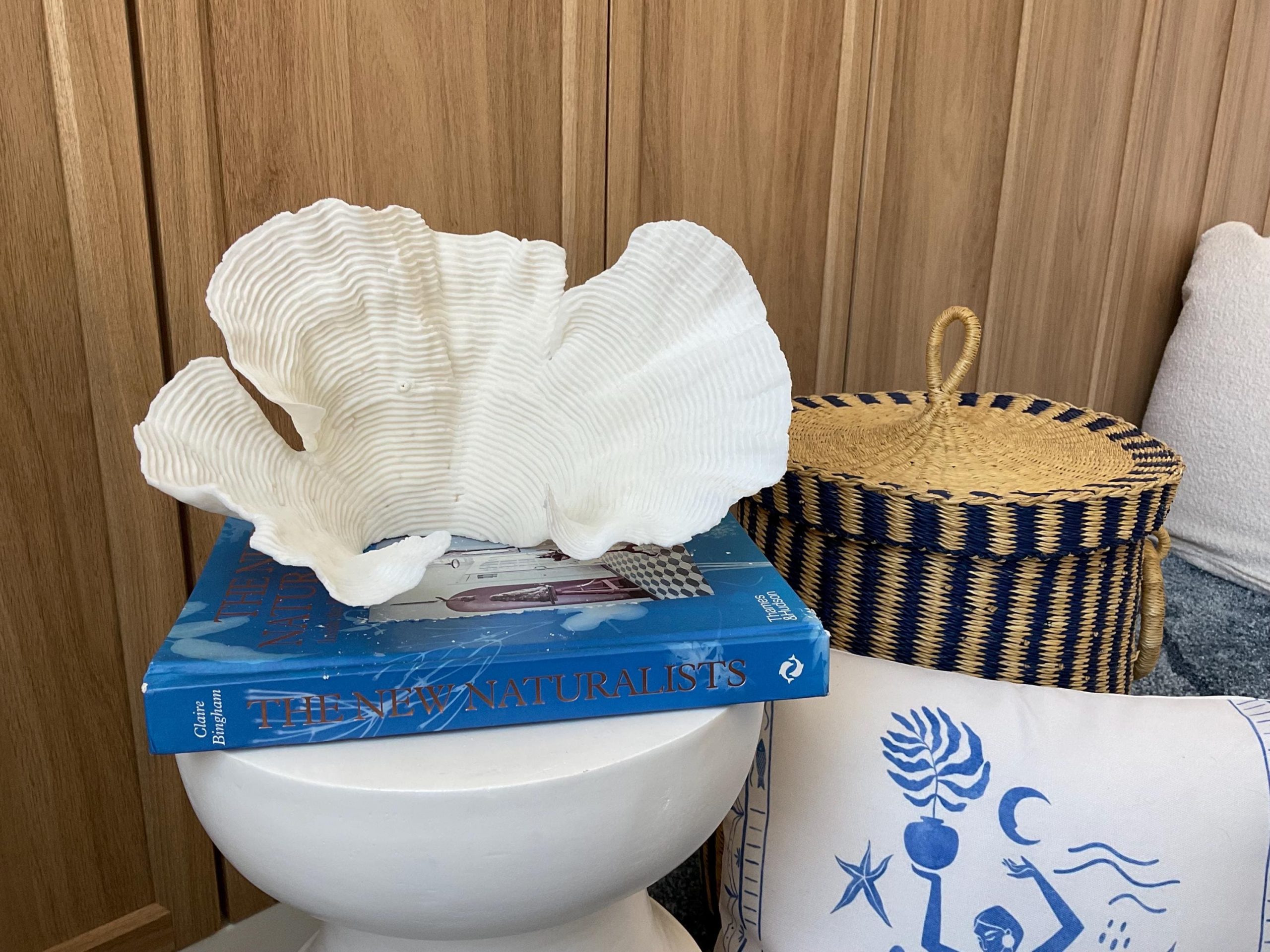 Cup Rugosa Coral Fossil Specimen: 11” x 6” x 7” Coastal Beach House Décor